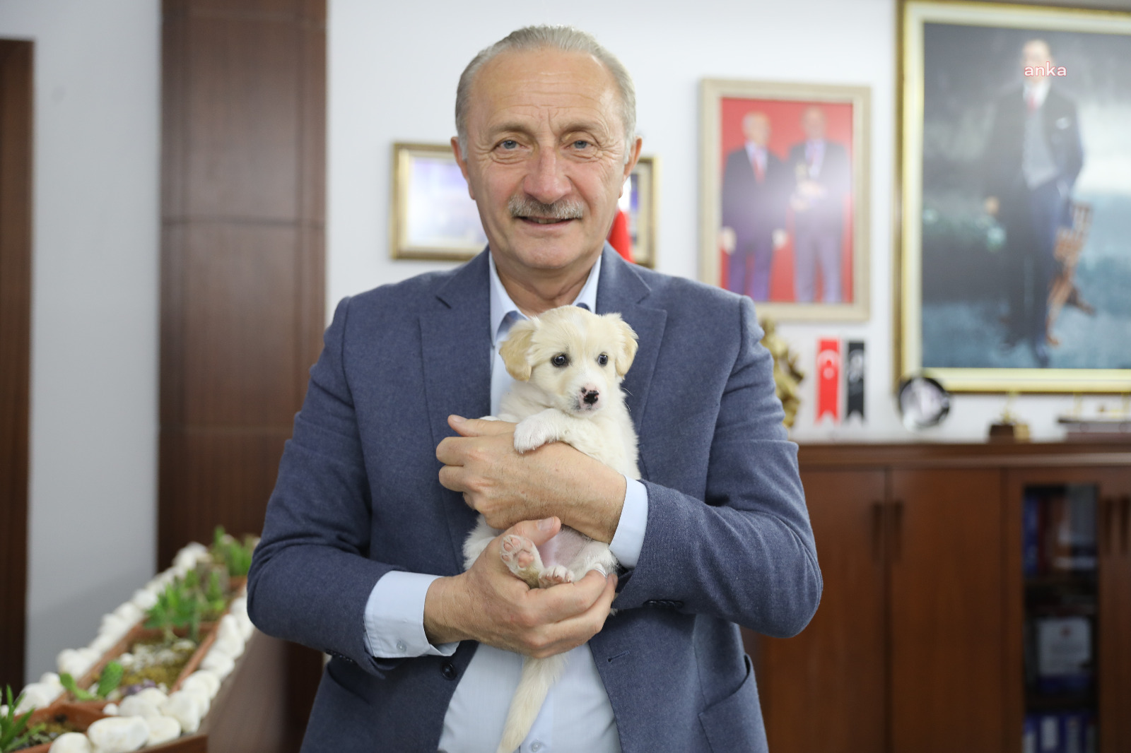 DİDİM'DE SOKAK HAYVANLARI EMİN ELLERDE