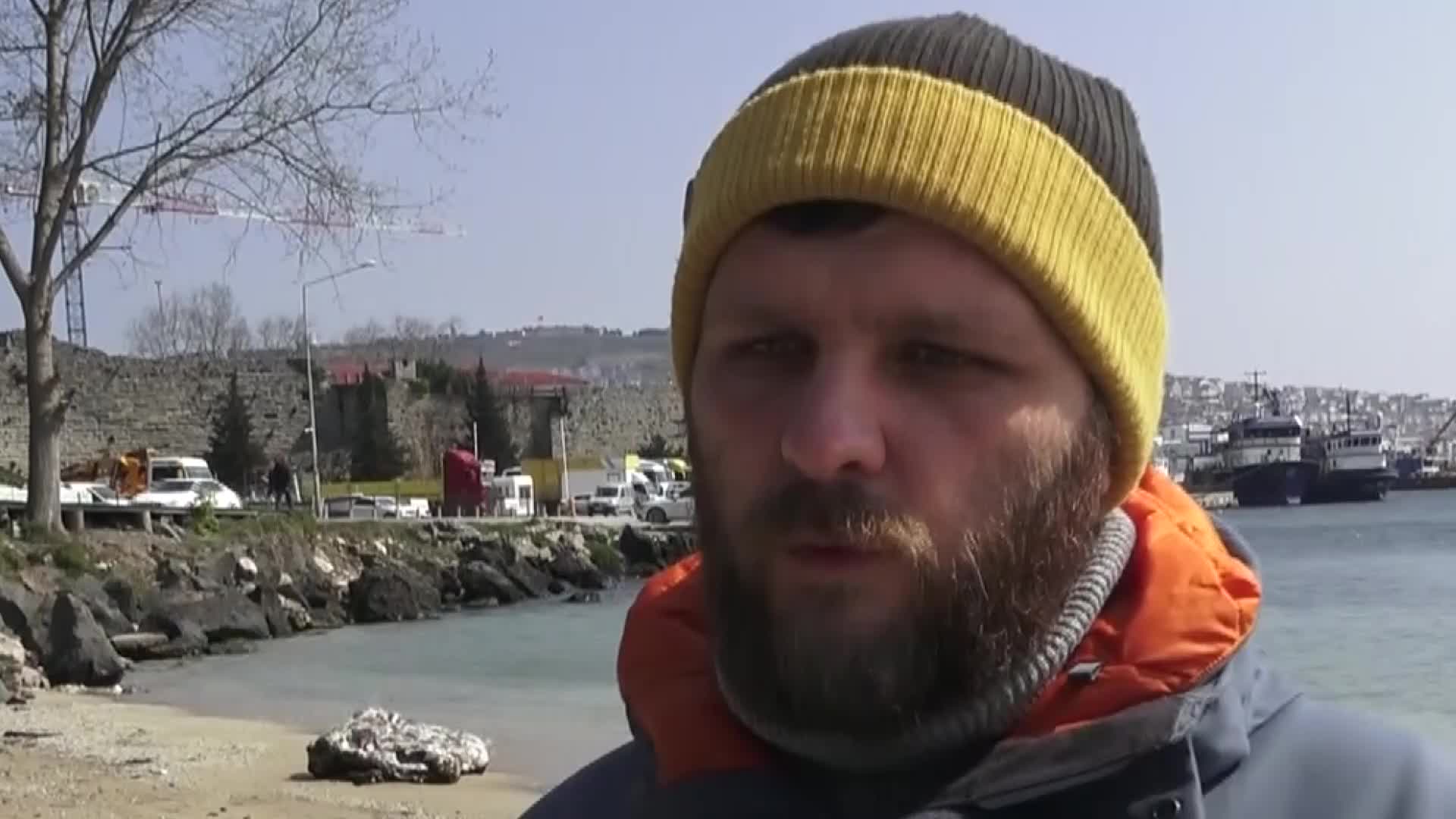 SİNOP KIYILARINDA BULUNAN YUNUSLARIN ÖLÜM SEBEBİ BELLİ OLDU