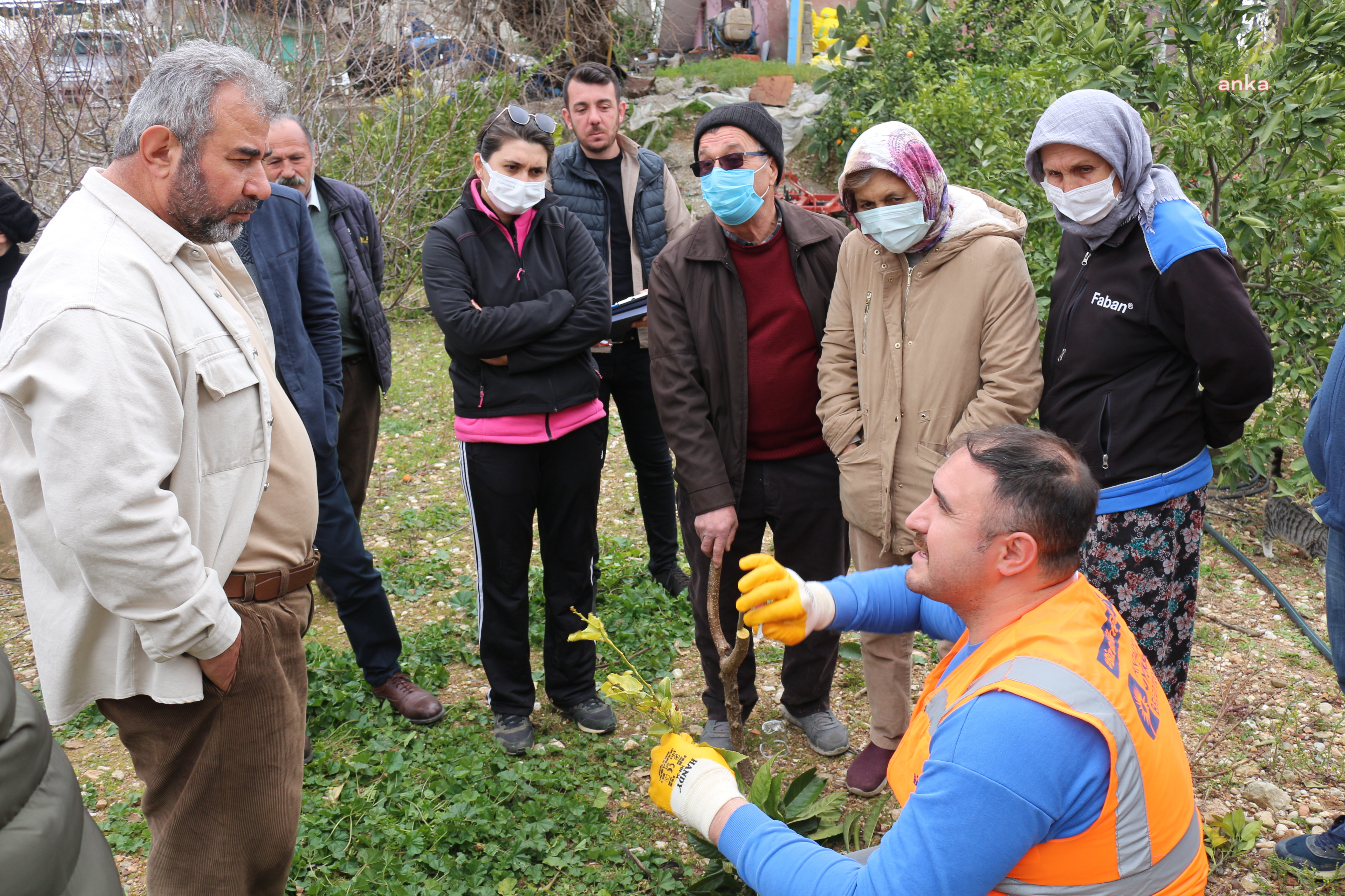 ANTALYA BÜYÜKŞEHİR’DEN İLÇELERDE BUDAMA VE AŞI EĞİTİMİ