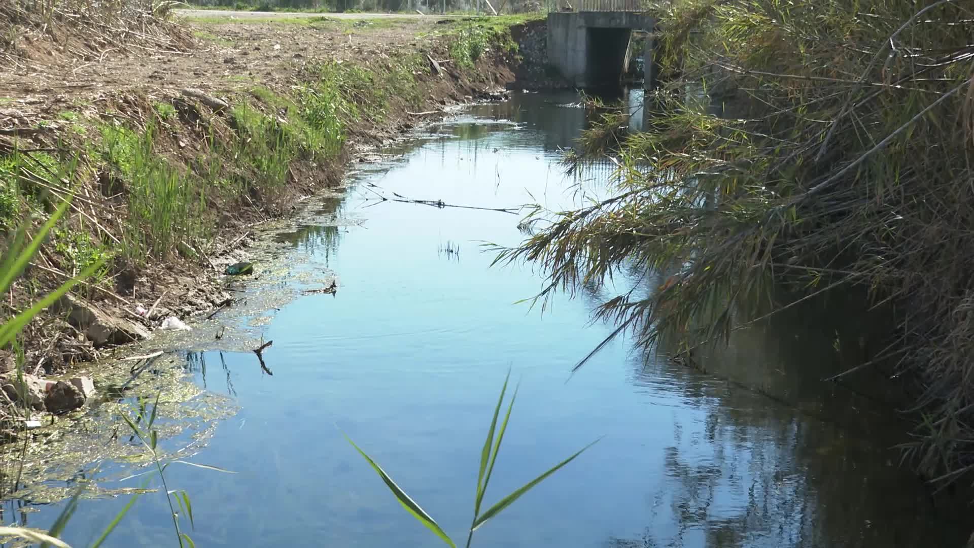 ANTALYA BÜYÜKŞEHİR BELEDİYESİ'NİN MÜSİLAJ TEHLİKESİNE KARŞI SAHA ÇALIŞMASI SÜRÜYOR