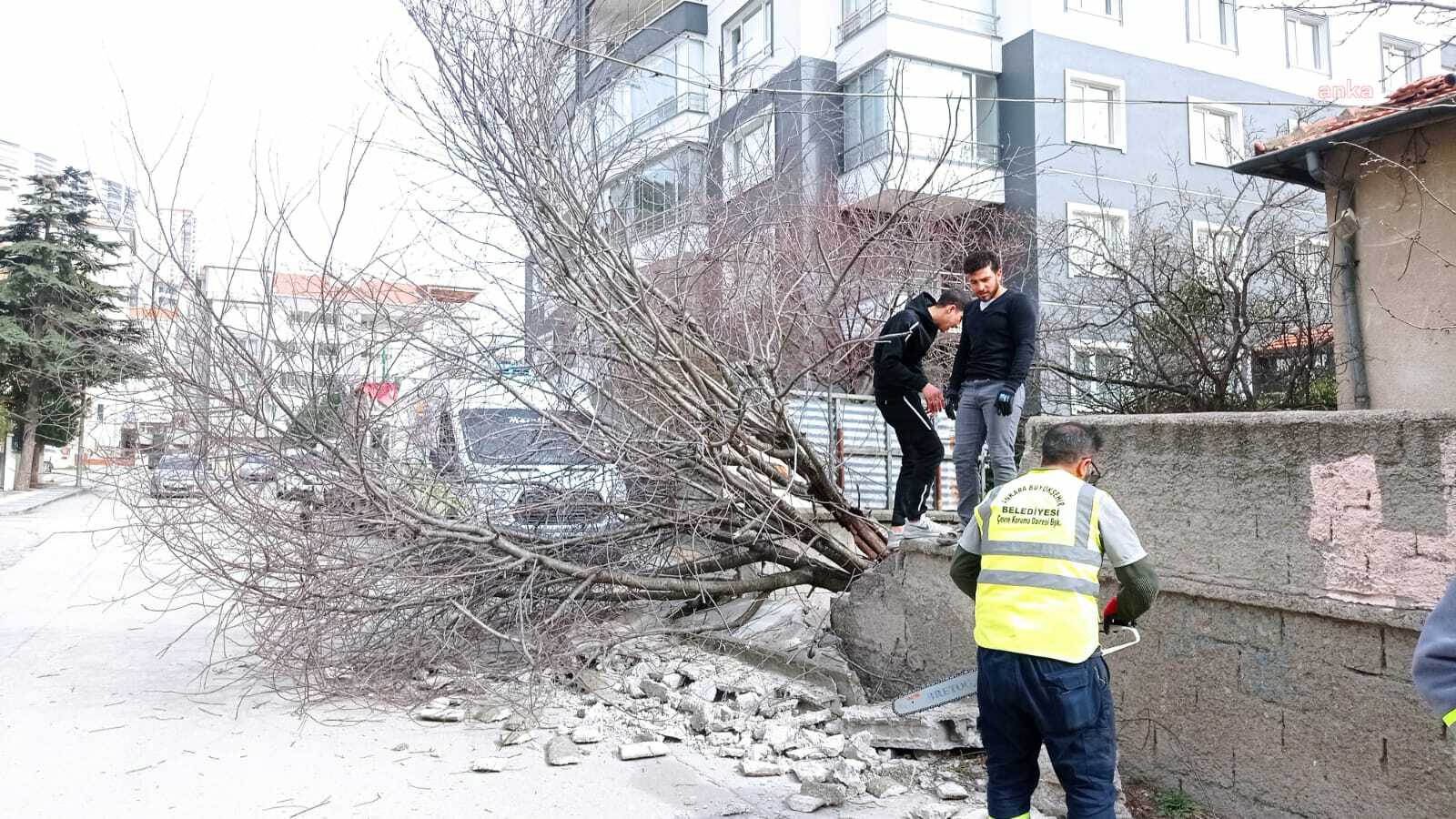 ANKARA BÜYÜKŞEHİR EKİPLERİ FIRTINADA GÖREV BAŞINDAYDI
