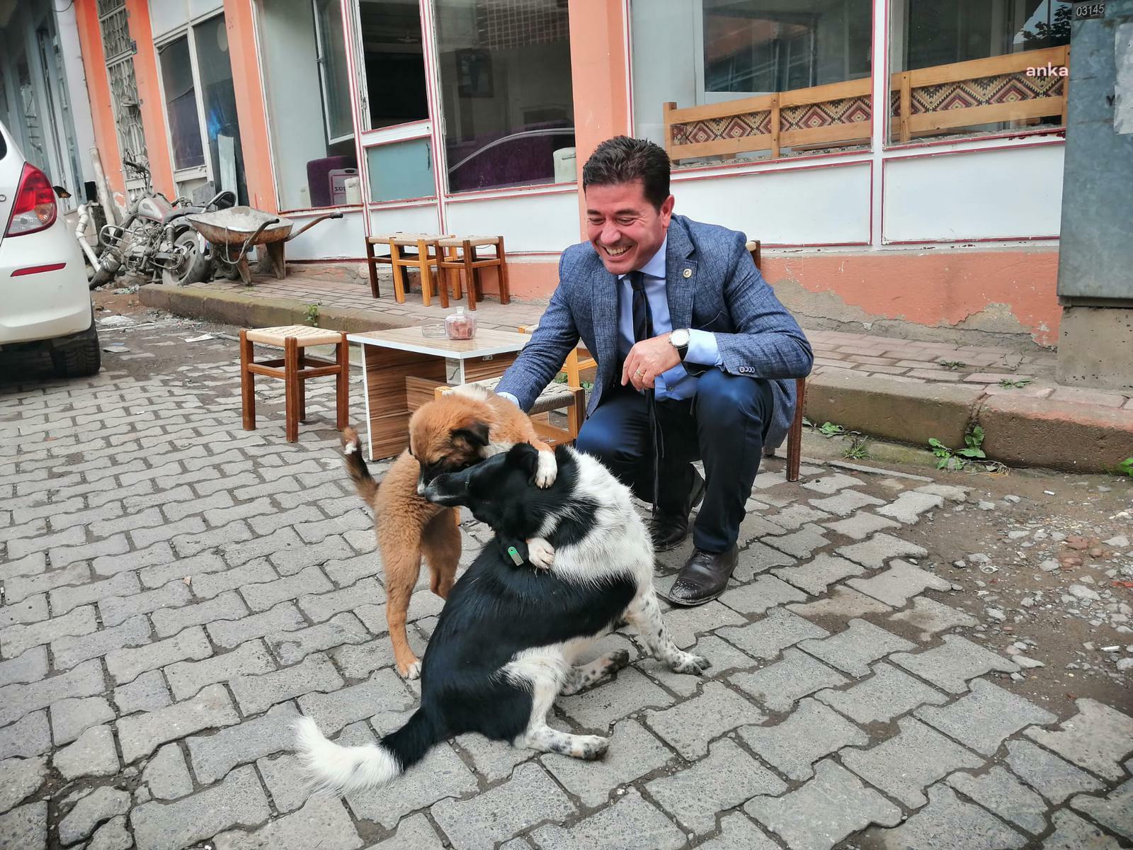 AHMET KAYA'DAN KEDİ VE KÖPEK MAMALARINDAKİ KDV'NİN YÜZDE 1’E DÜŞÜRÜLMESİ İÇİN KANUN TEKLİFİ