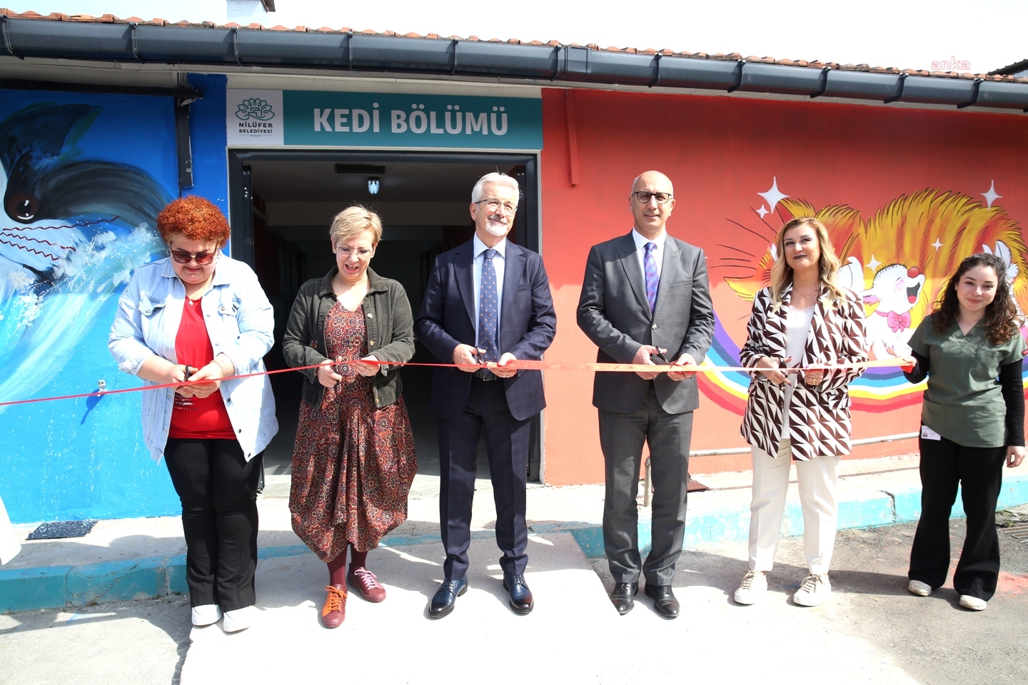 NİLÜFER BELEDİYESİ'NDEN SOKAK KEDİLERİ İÇİN ÖZEL BÖLÜM