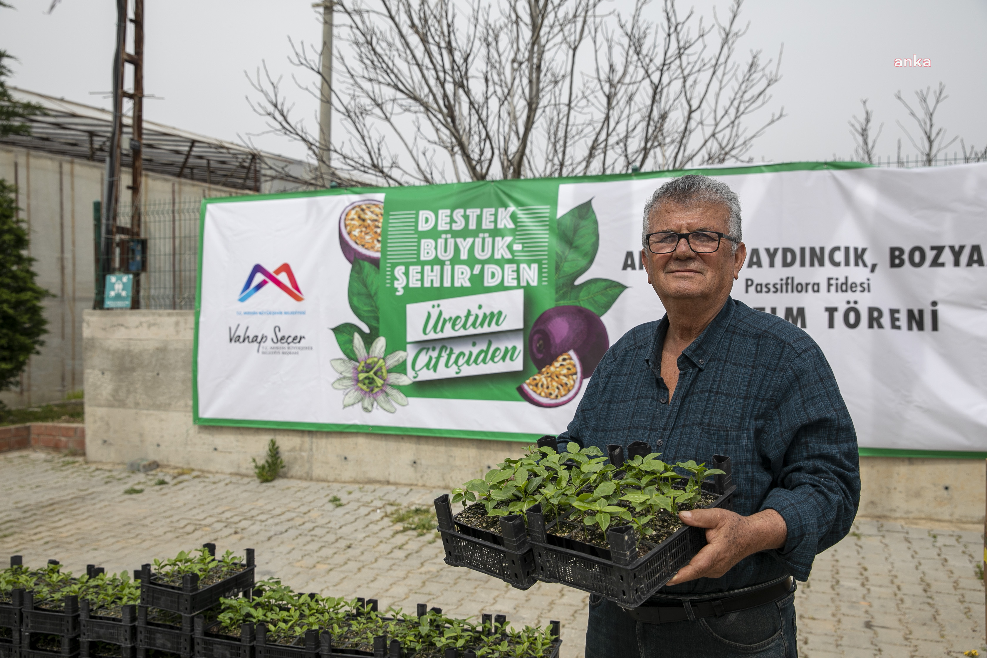 MERSİN BÜYÜKŞEHİR’DEN ÜRETİCİYE YENİ DESTEK: “PASSİFLORA FİDESİ”