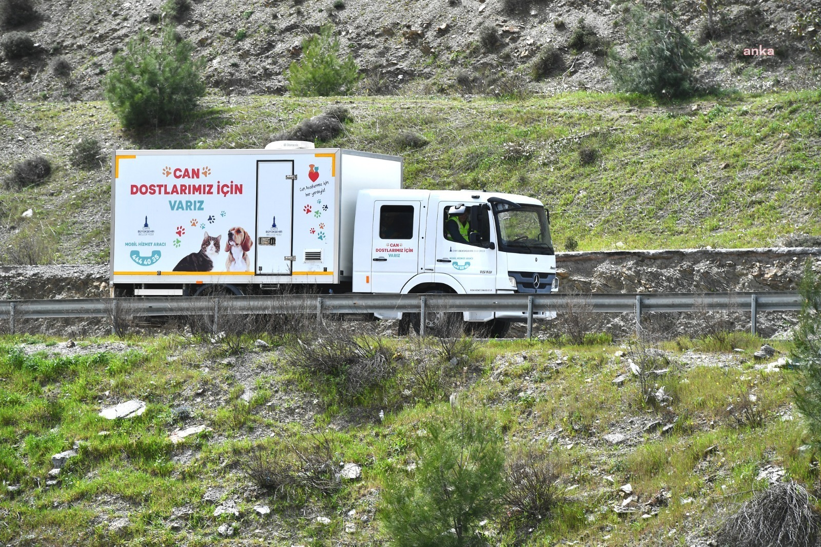 İZMİR’DE SOKAK HAYVANLARI İÇİN MOBİL HİZMET ARACI DEVREDE