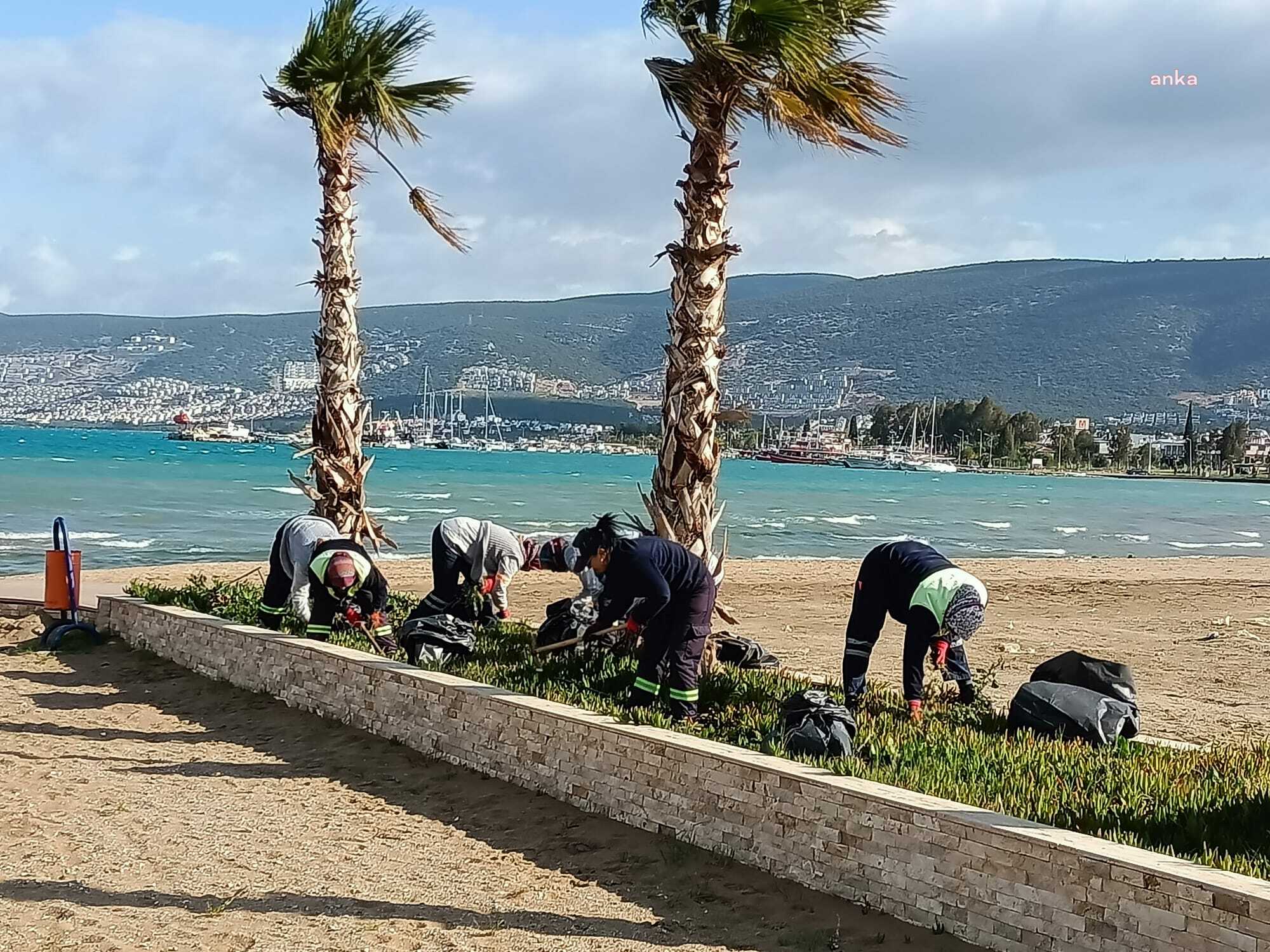 DİDİM BELEDİYESİ TURİZM SEZONUNU ÖNCESİ AKBÜK MAHALLESİ’NDE ÇALIŞMALARINA DEVAM EDİYOR