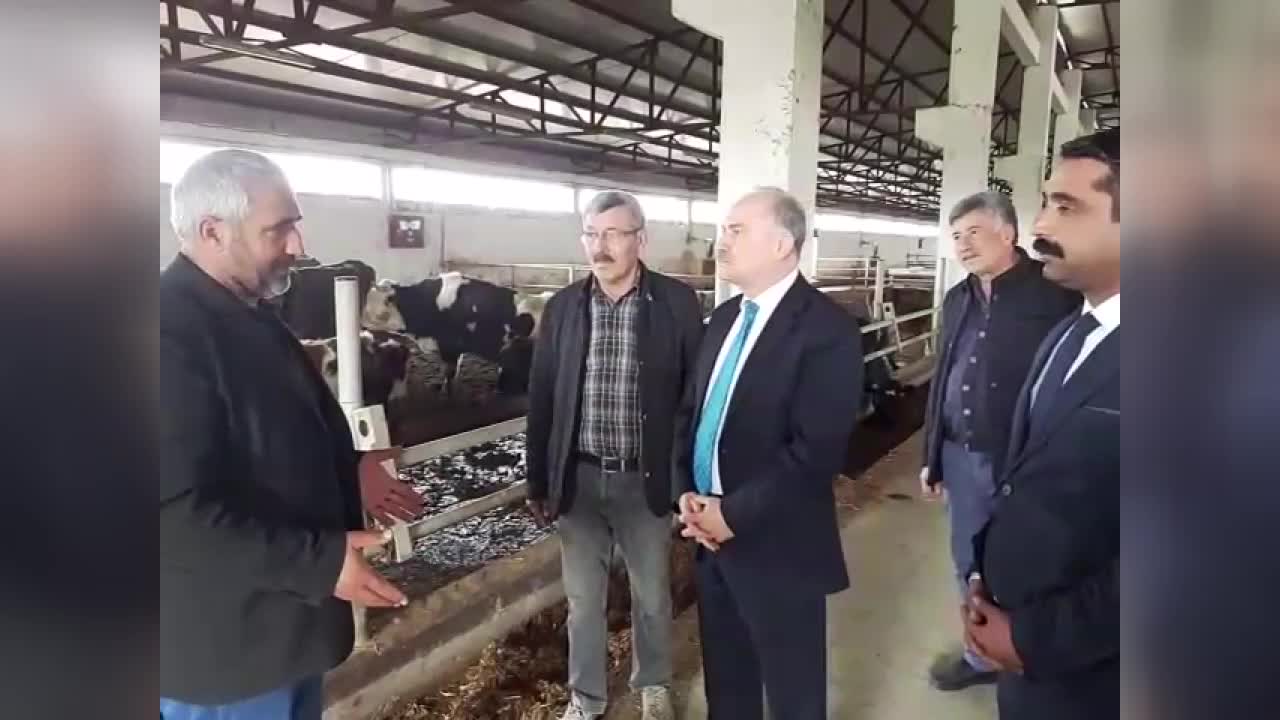 CHP'li GÖK'E DERT YANAN HAYMANALI SÜT ÜRETİCİSİ: "YEM ALAMIYORUZ, KURU SAMAN VEREBİLİYORUZ. HAYVANLAR CILIZ. MEZBAHAYA GÖNDERİP KESECEĞİZ"