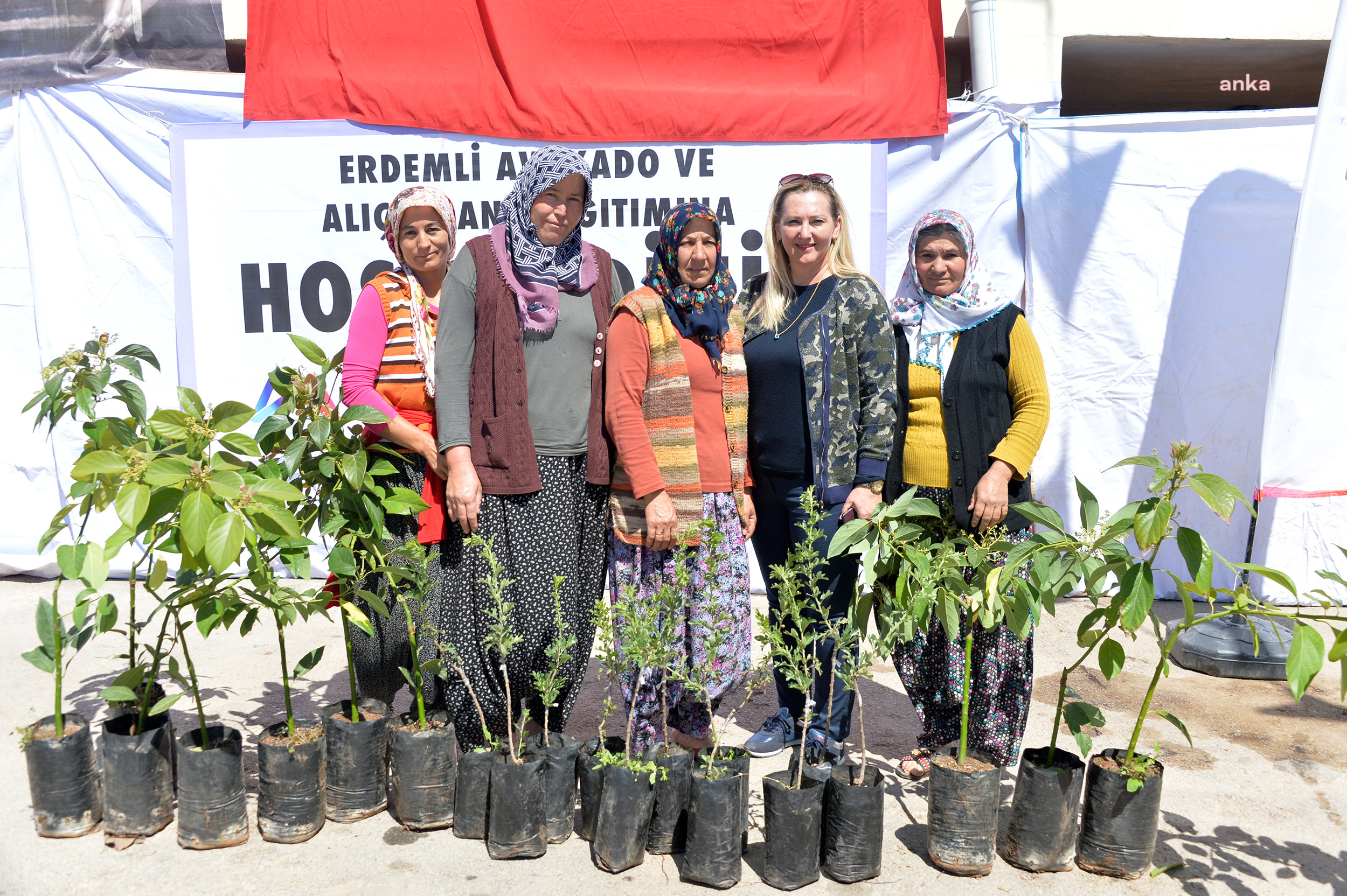 MERSİN BÜYÜKŞEHİR, ERDEMLİ’DE AVOKADO VE ALIÇ FİDANI DAĞITTI
