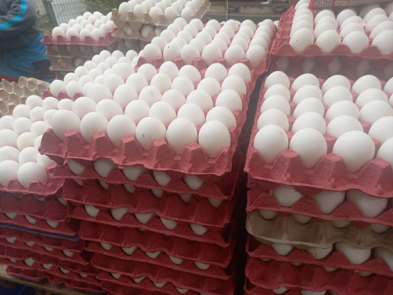 YUMURTA ÜRETİMİNDEKİ DÜŞÜŞ SÜRÜYOR