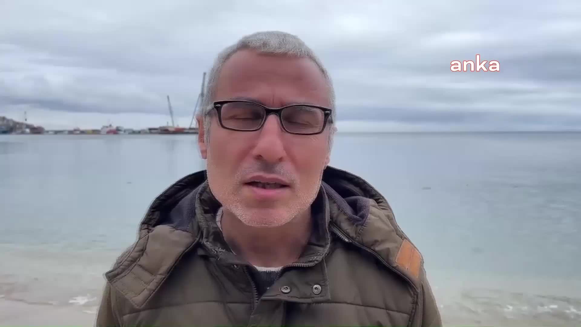 SİNOP’TA SAHİLDE KARA GERDANLI DALGIÇ KUŞU ÖLÜMLERİ GÖRÜLDÜ