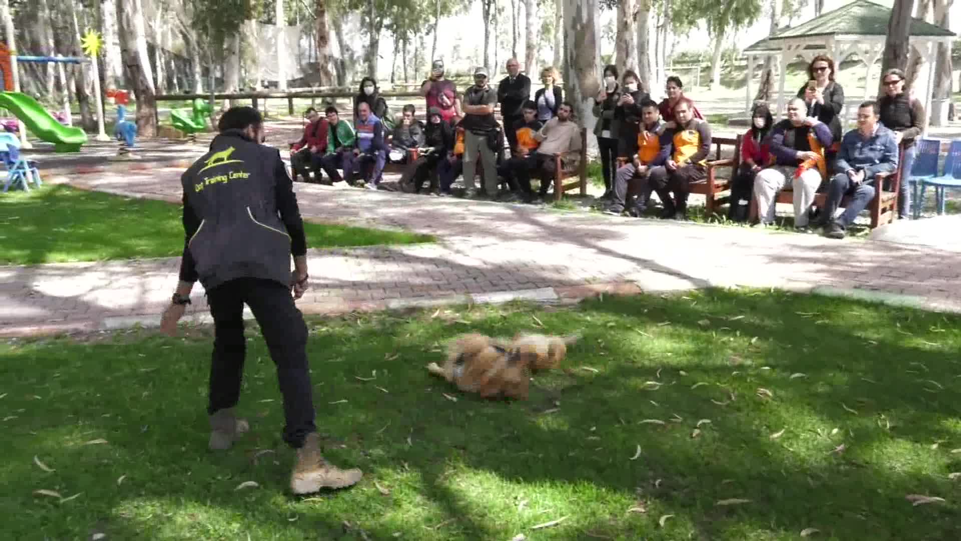KONYAALTI BELEDİYESİ'NDEN OTİZMLİ BİREYLERE KÖPEKLİ TERAPİ