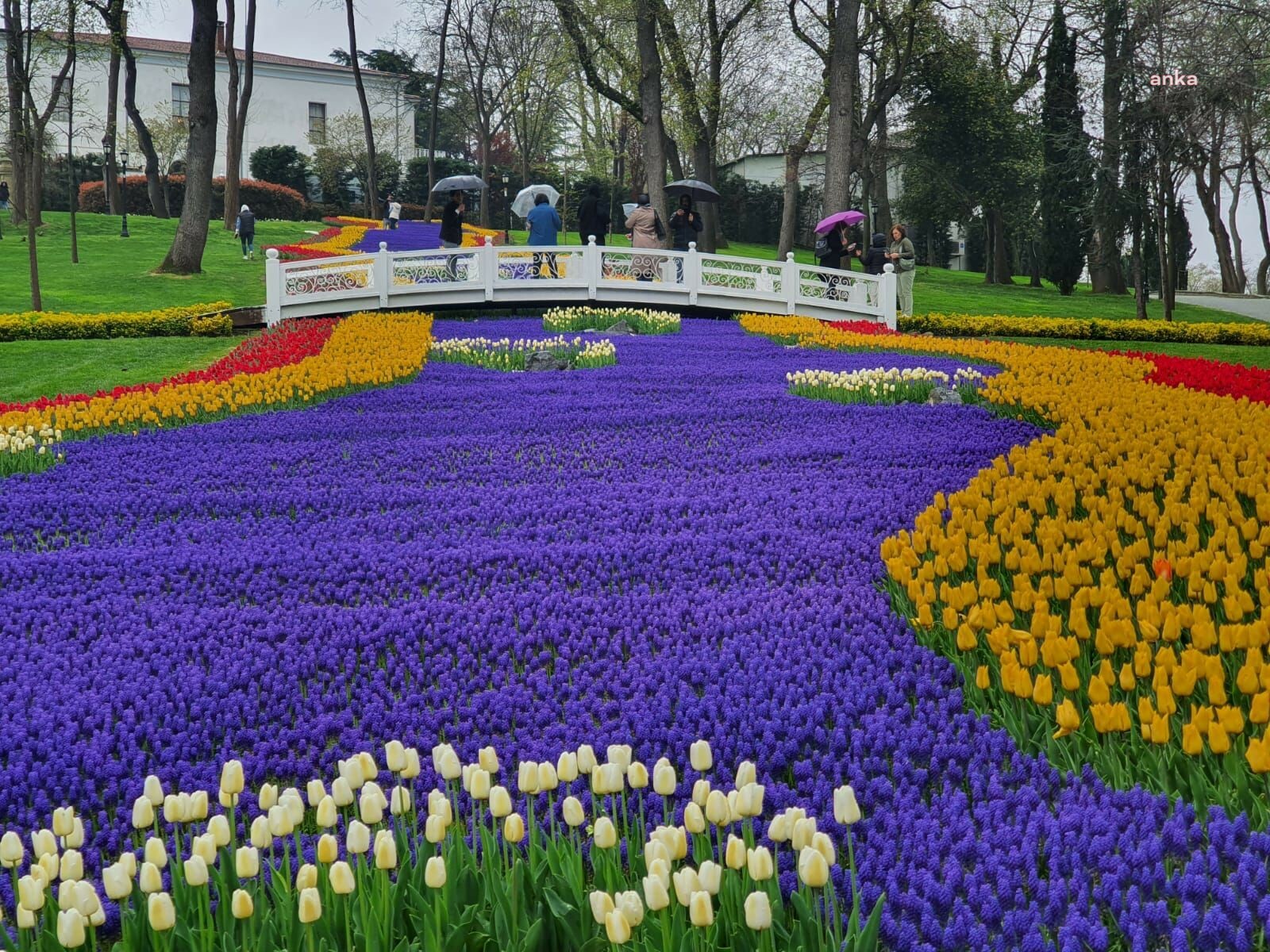 İSTANBUL'DA LALE BAYRAMI KUTLANACAK