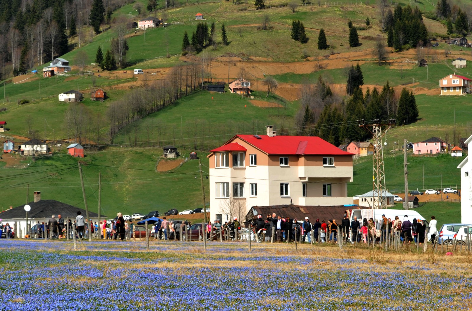 TRABZON'DA, KADIRALAK YAYLASININ DOĞAL GÜZELLİĞİ KORUNMAZSA YOK OLACAK