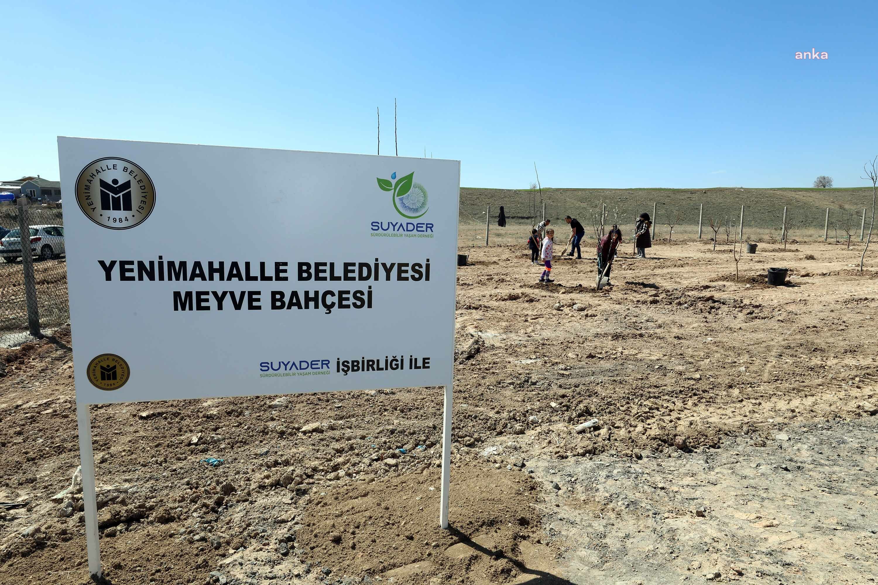 YENİMAHALLE’DE 500 MEYVE FİDANI TOPRAKLA BULUŞTU