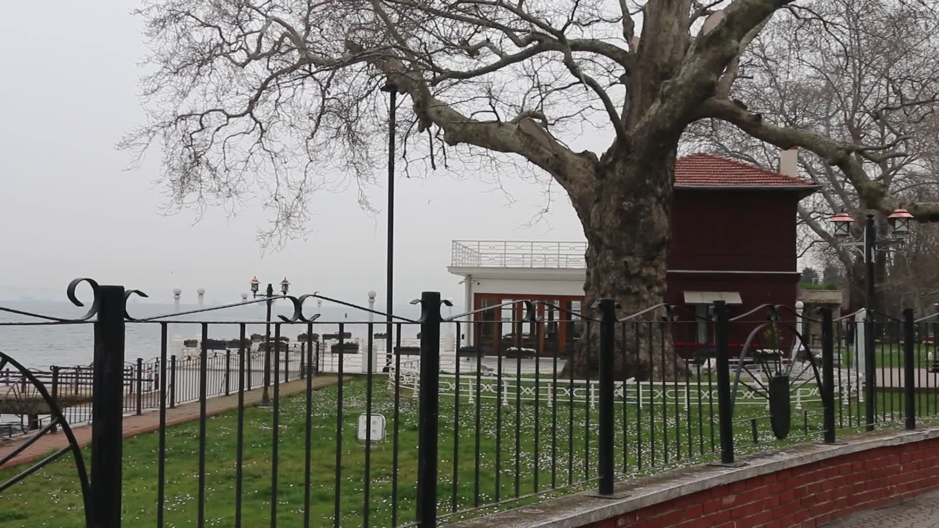 ATATÜRK'ÜN AĞAÇ KESİLMEMESİ İÇİN YERİNİ DEĞİŞTİRDİĞİ “YÜRÜYEN KÖŞK” BAKIMSIZ KALDI