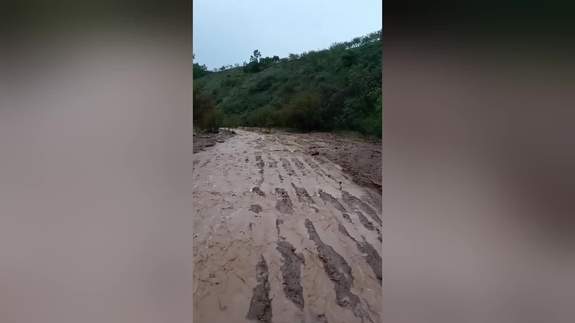 SİİRT'TE SEL NEDENİYLE TARIM ALANLARI ZARAR GÖRDÜ