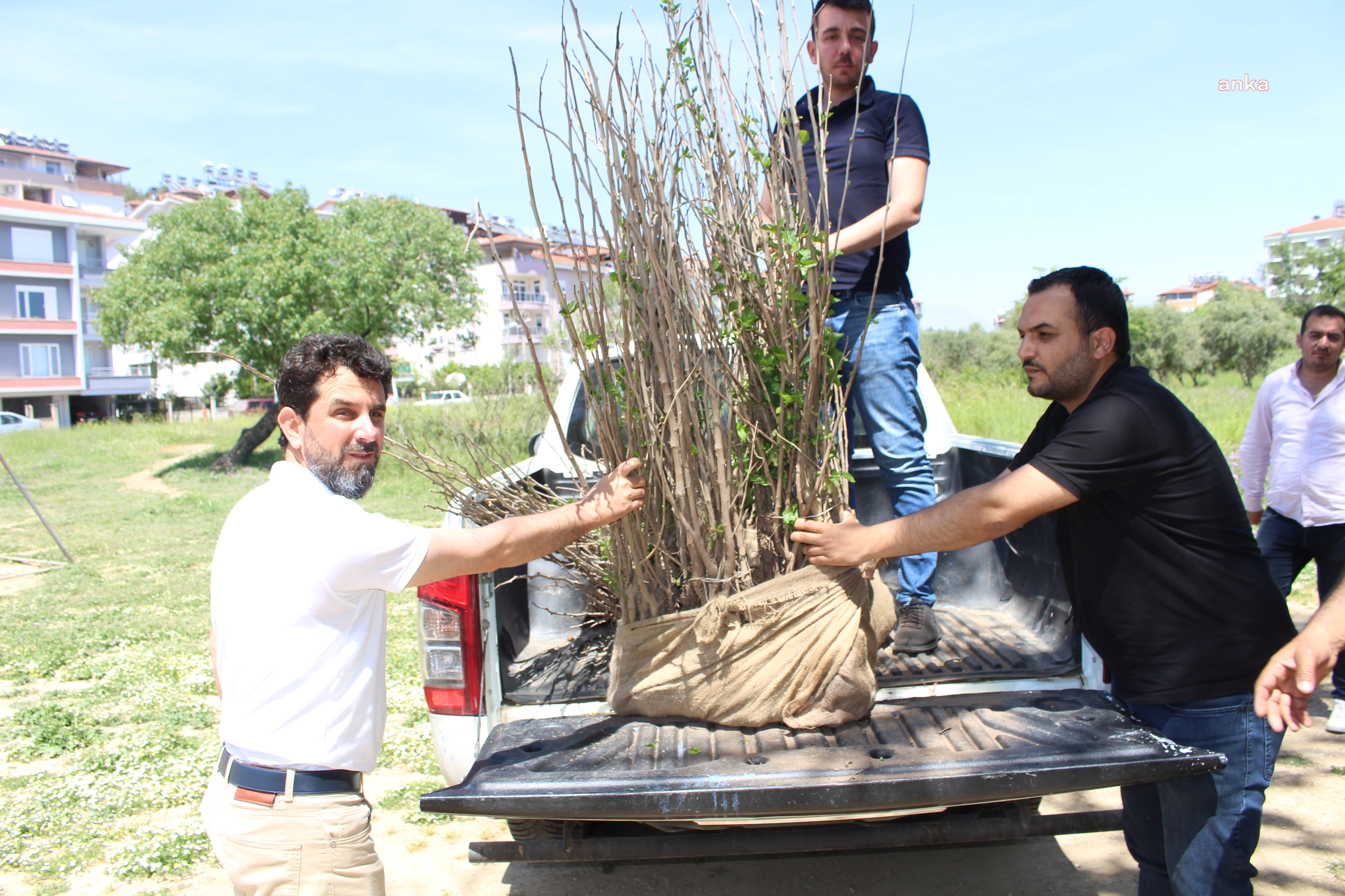 ANTALYA BÜYÜKŞEHİR’DEN İPEKBÖCEKÇİLİĞİNE DESTEK: YANAN DUT FİDANLARI YERİNE YENİLERİ VERİLDİ