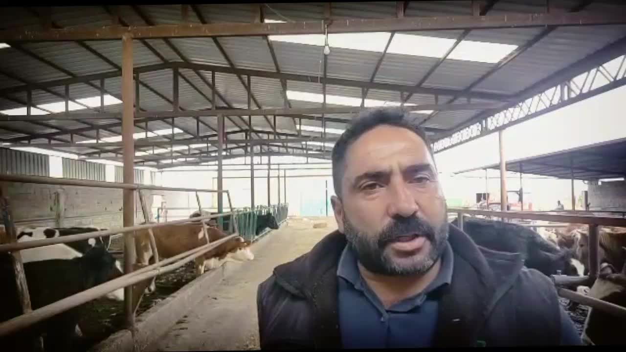 SÜT ÜRETİCİLERİ, ULUSAL SÜT KONSEYİ'NİN FİYATLARI ARTIRMAMASINA TEPKİLİ: "HER GÜN LİTRE BAŞI 2 LİRA ZARAR EDİYORUZ"