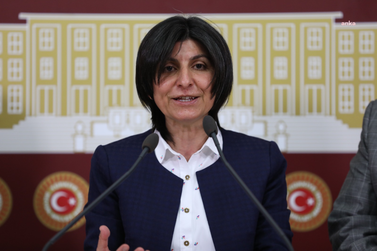 CHP’Lİ ÖZDEMİR’DEN MUHARİP GAZİLER İÇİN KANUN TEKLİFİ