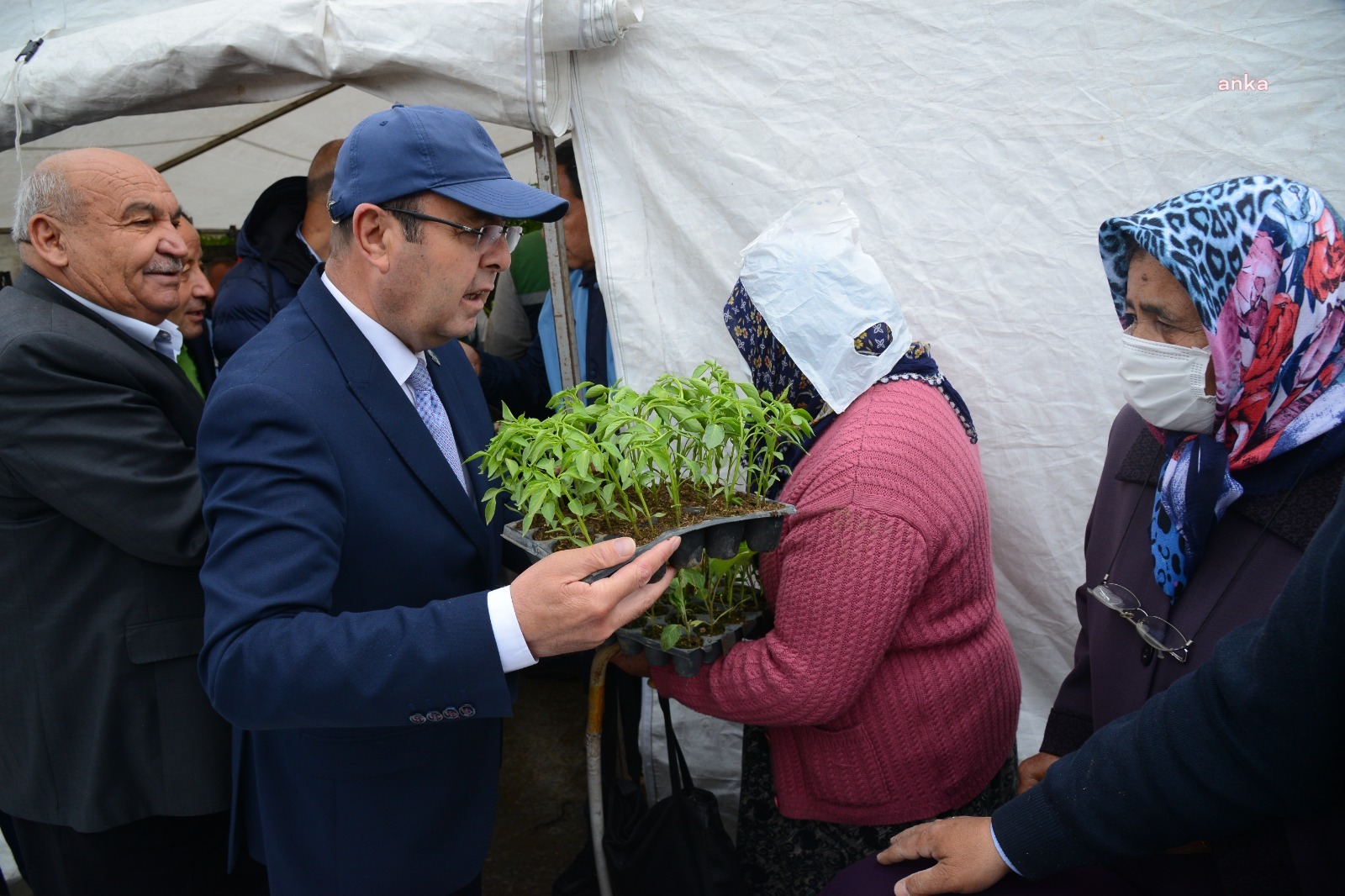 KIRŞEHİR BELEDİYESİ, YERLİ ÜRETİCİLERE FİDE DAĞITTI