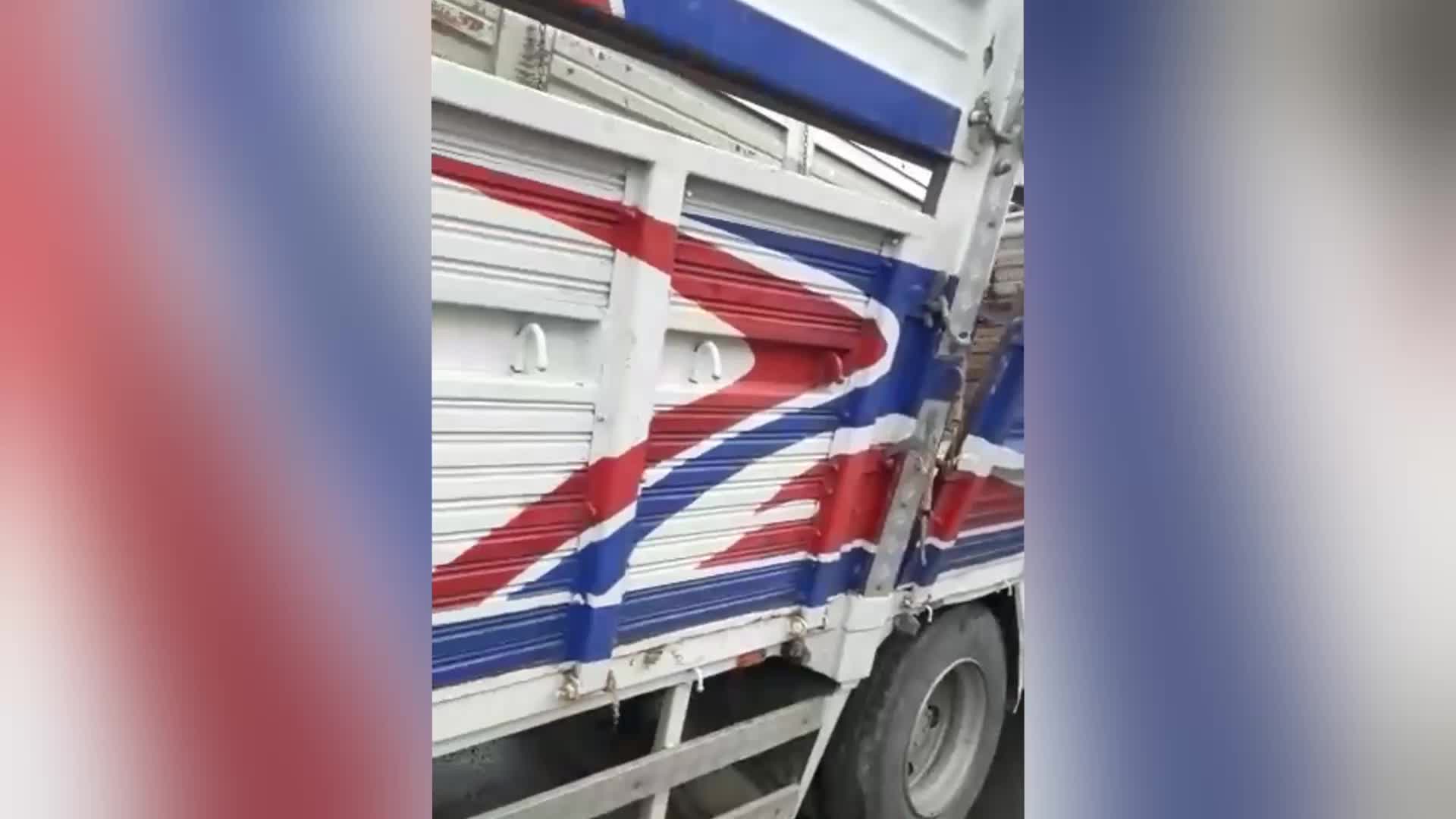 IĞDIR'DAKİ TRAFİK KAZASINDA 2 KİŞİ YARALANDI, 46 KÜÇÜKBAŞ HAYVAN ÖLDÜ