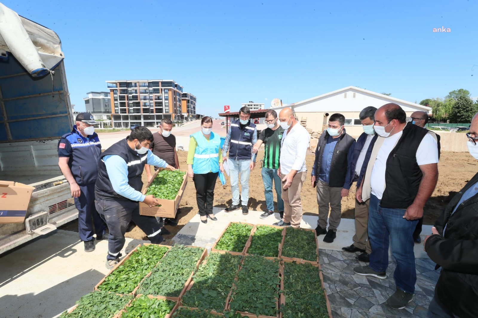 İZMİT BELEDİYESİ ÇİFTÇİLERE 250 BİN FİDE DAĞITACAK