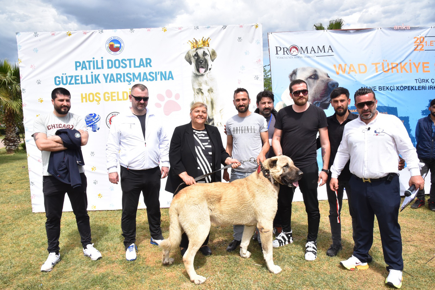 CEYHAN'DA “PATİLİ DOSTLAR GÜZELLİK YARIŞMASI”