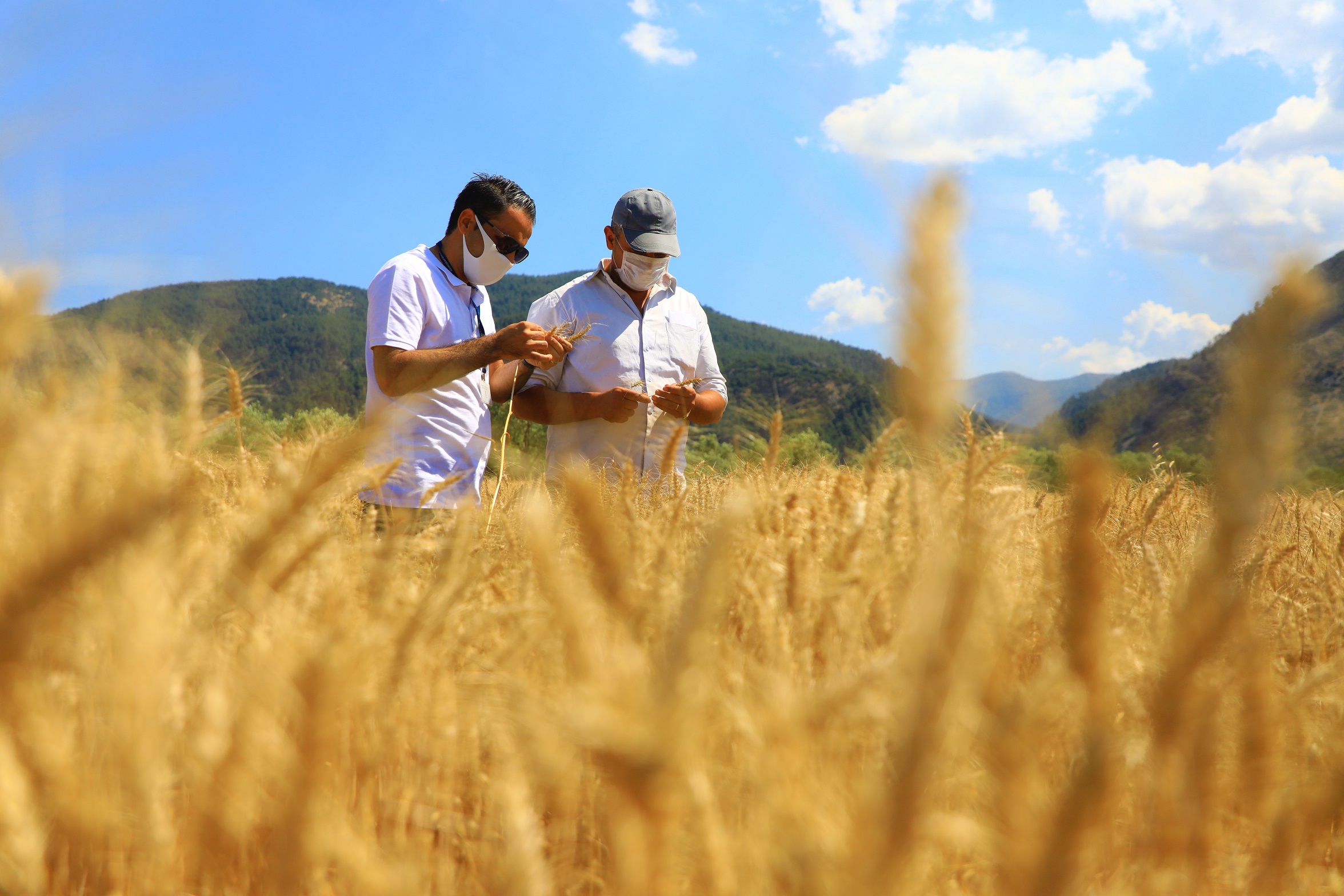 MUĞLA BÜYÜKŞEHİR DESTEKLİYOR, MUĞLALI ÇİFTÇİ ÜRETİYOR