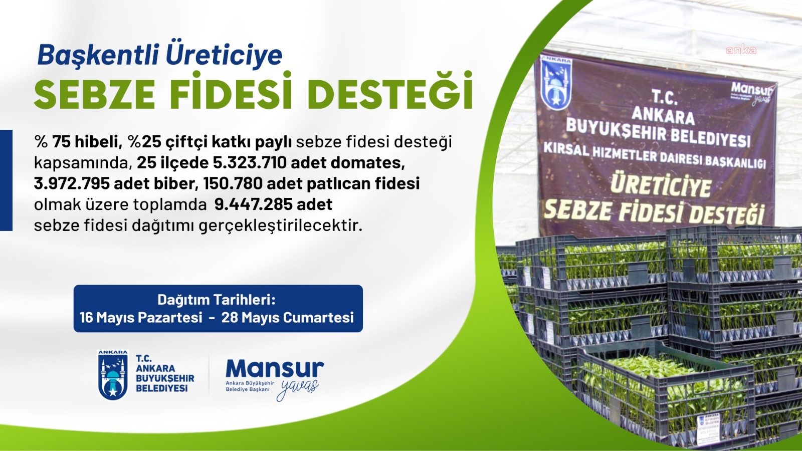 ANKARA BÜYÜKŞEHİR’DEN BAŞKENTLİ ÇİFTÇİYE SEBZE FİDESİ DESTEĞİ