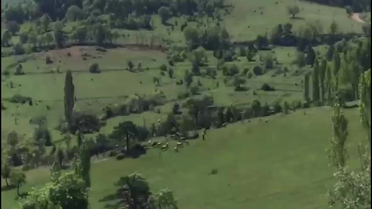 KÜTAHYA’DAKİ EĞRİGÖZ DAĞI’NDA 9 BİN AĞACIN KESİLMEK ÜZERE İŞARETLENDİĞİ ÖNE SÜRÜLDÜ