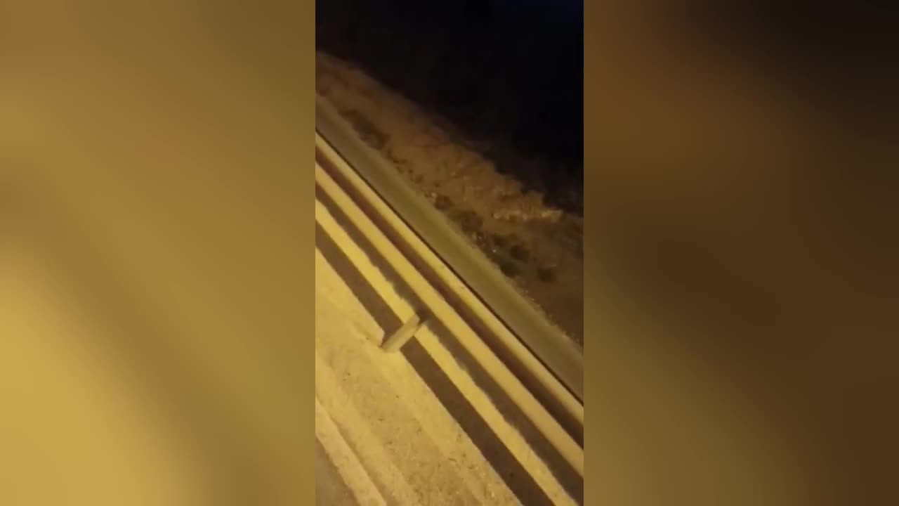 BİLECİKLİ BAL ÜRETİCİSİN KOVANLARINI AYILAR PARÇALADI