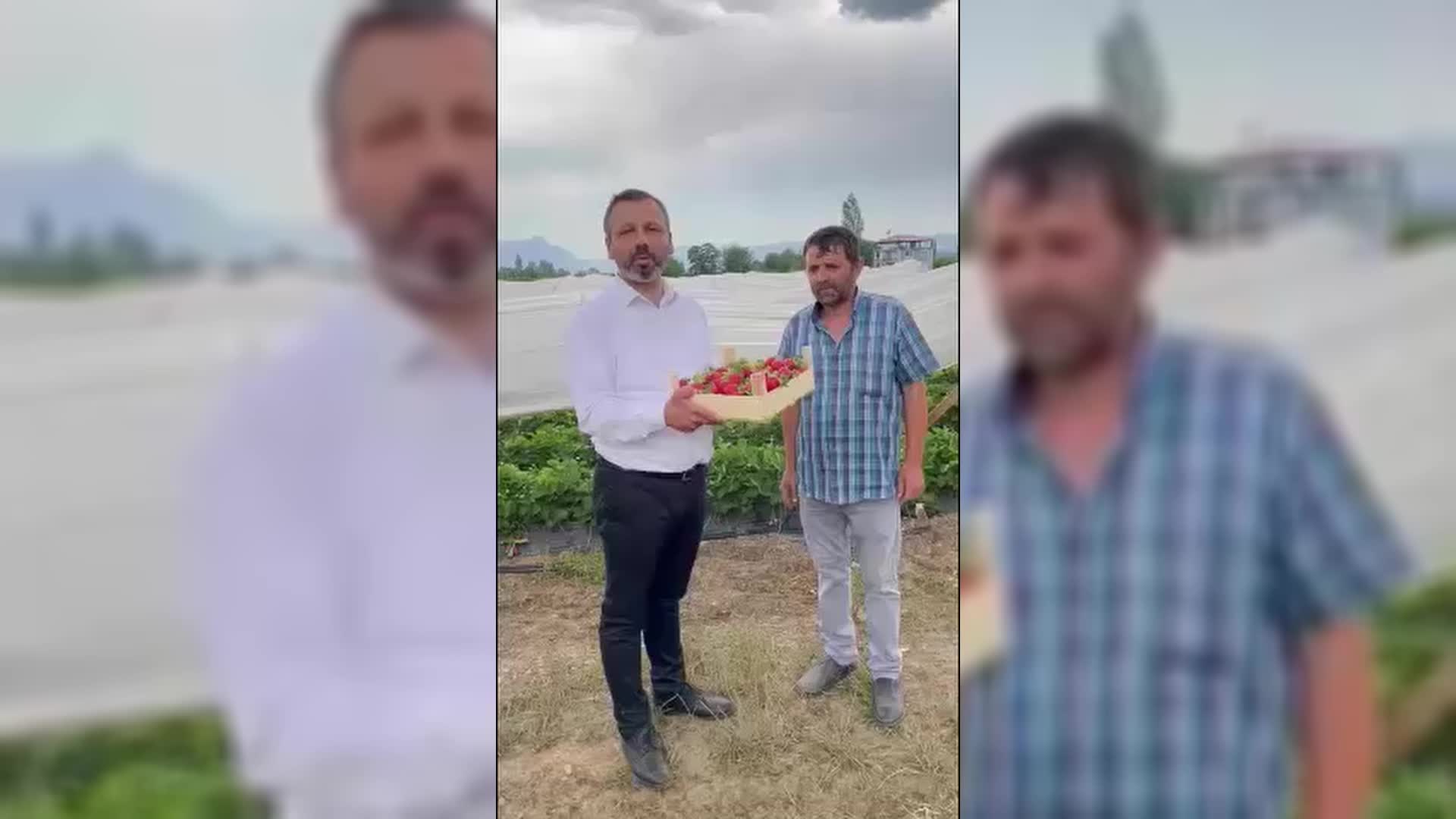 BURAK ERBAY: ÇİLEK ÜRETİMİNDE 5. SIRADA OLMAMIZA RAĞMEN İHRACATINDA 12. SIRADAYIZ