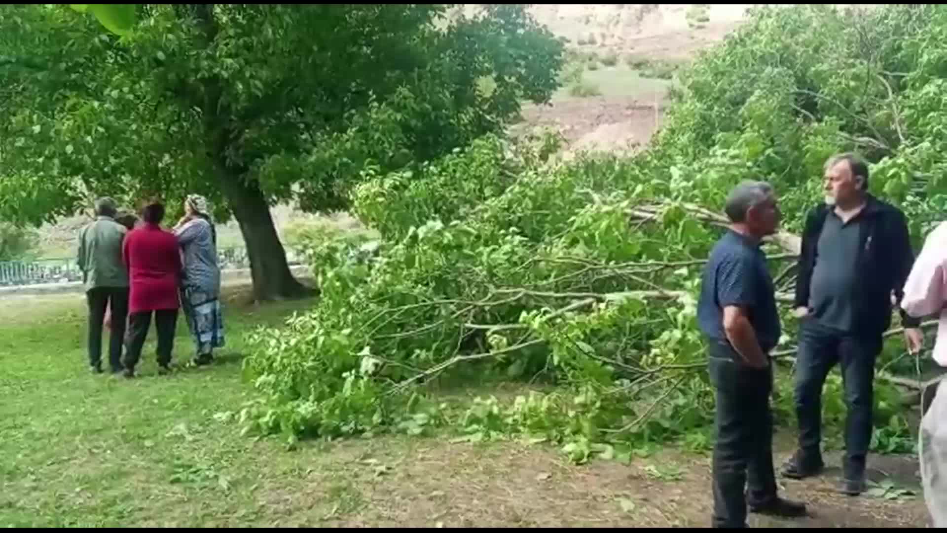 ARTVİN'DE HES YAPILMASI PLANLANAN BÖLGEDEKİ AĞAÇLAR MAHKEME SONUÇLANMADAN KESİLDİ