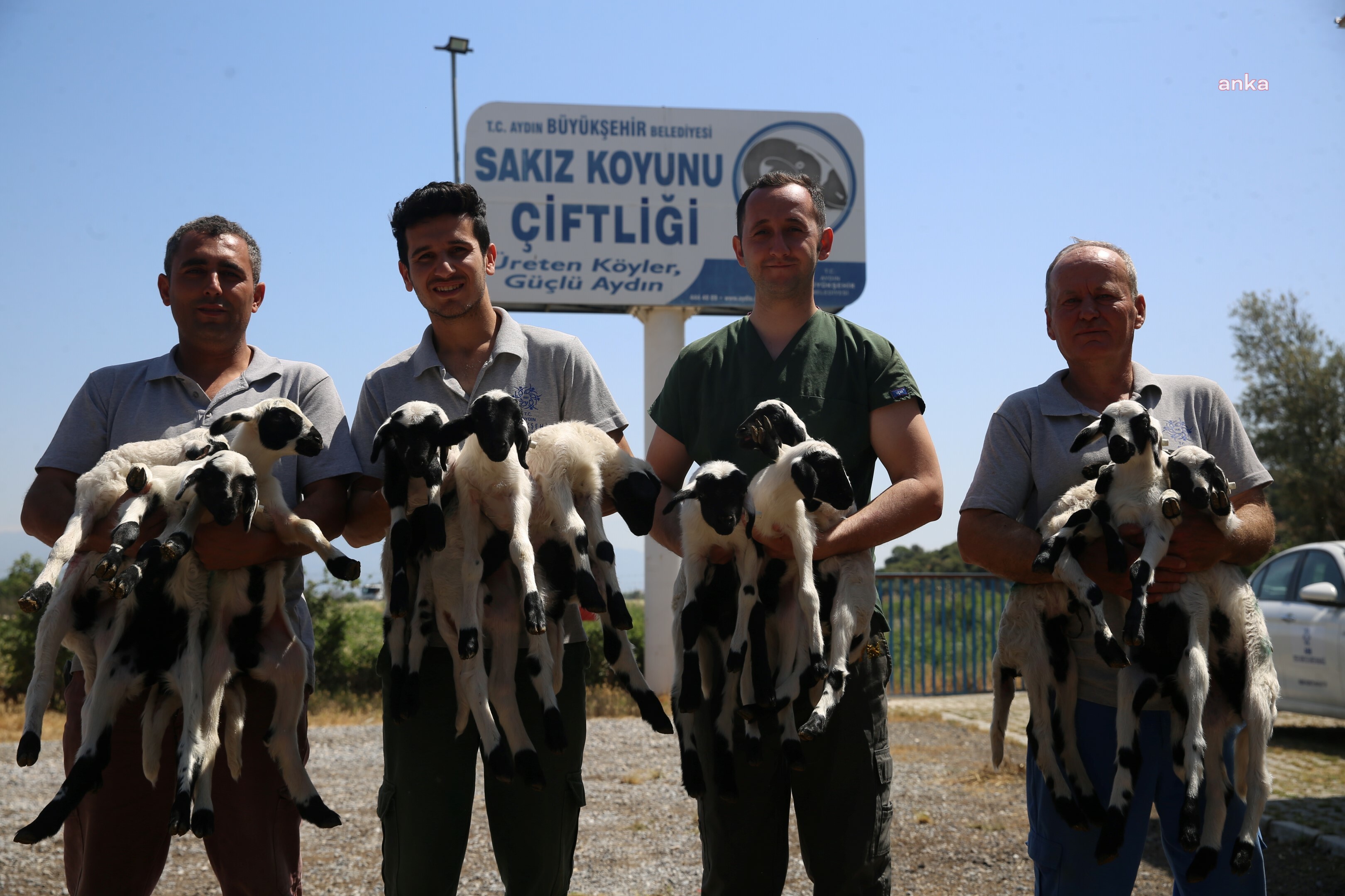 AYDIN BÜYÜKŞEHİR'İN SAKIZ KOYUNU ÇİFTLİĞİ’NDE DOĞUMLAR BAŞLADI