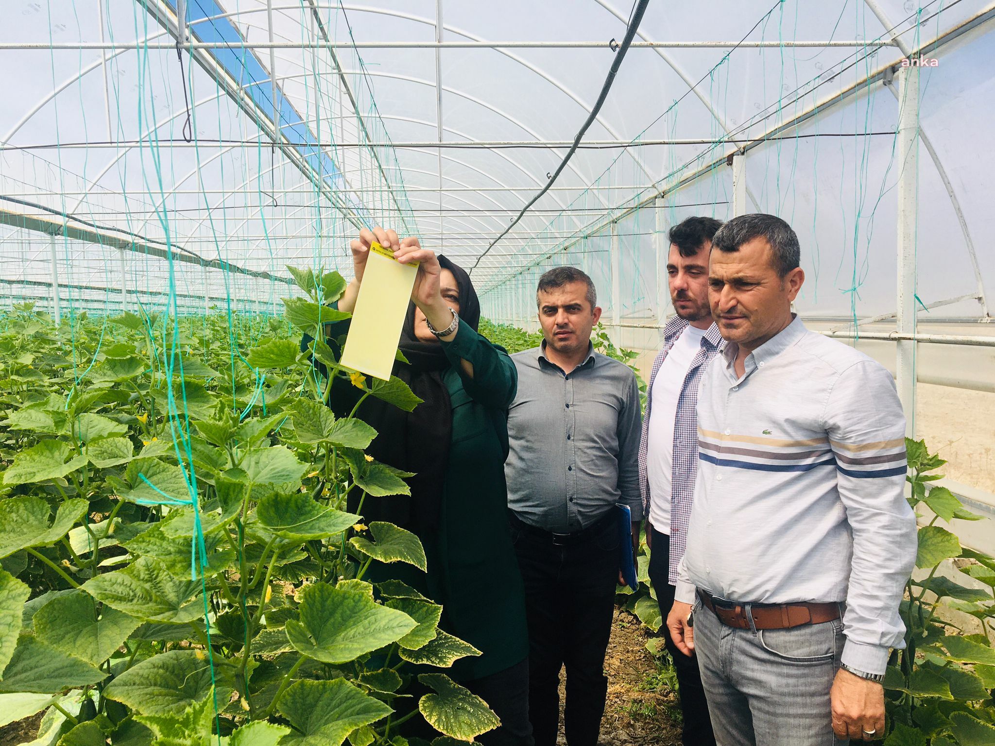 ANTALYA BÜYÜKŞEHİR'DEN SERACILARA DESTEK
