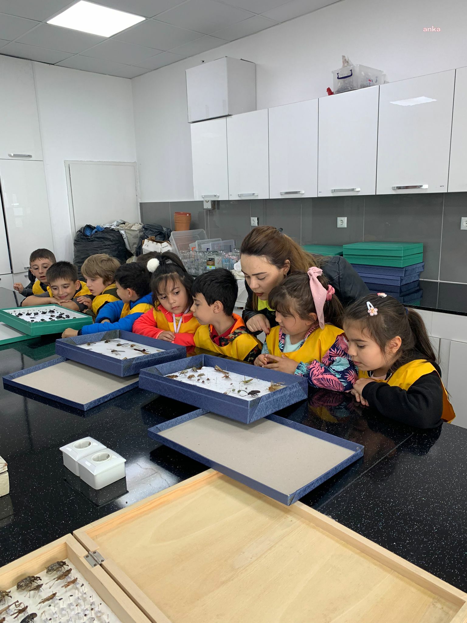 ATAKUM’DA ÇOCUKLARDAN ‘BÖCEK MÜZESİ’NE ZİYARET