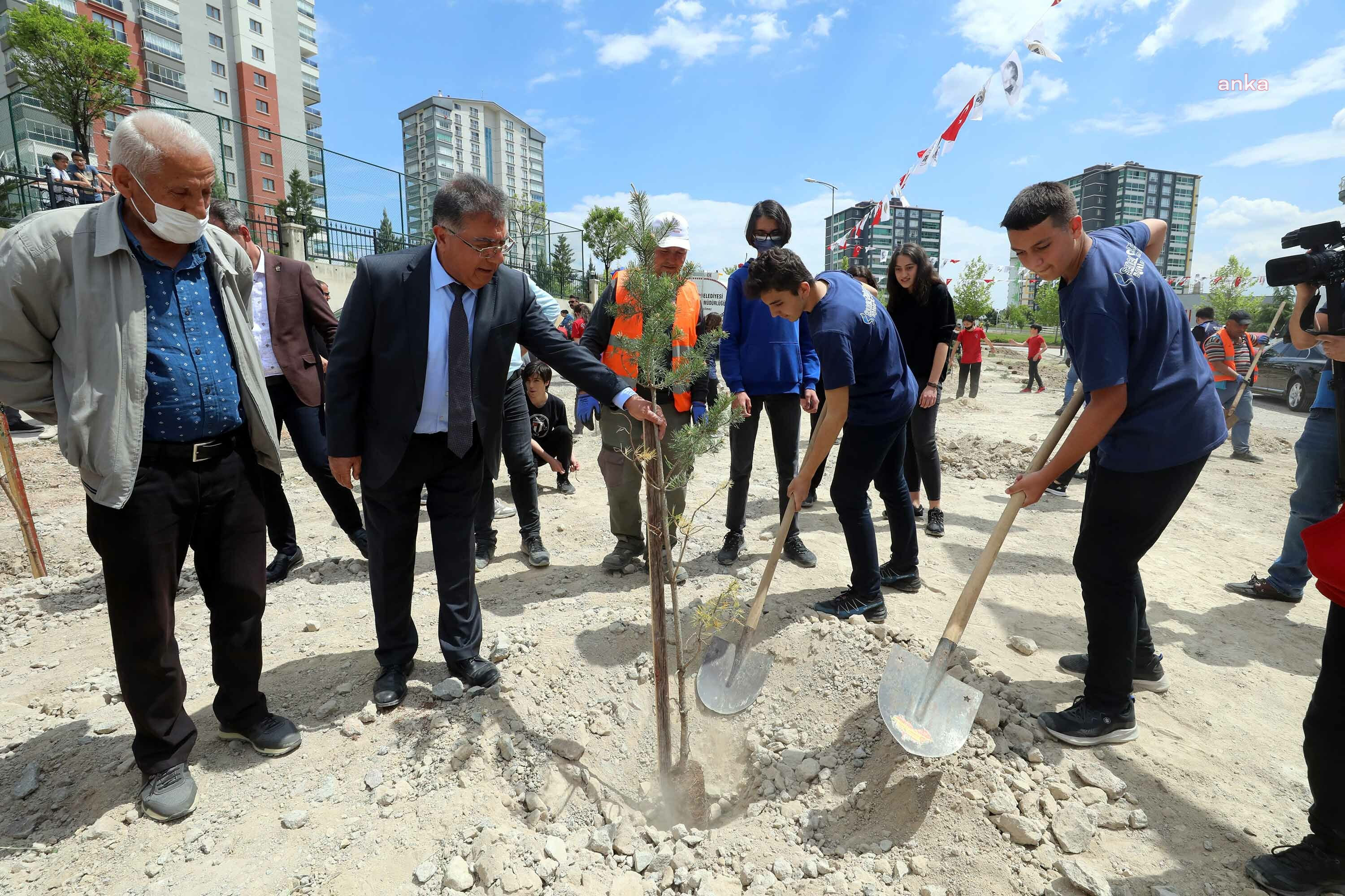 YENİMAHALLE BELEDİYESİ, TURGUT ÖZAL MAHALLESİNE 200 ÇAM VE SEDİR FİDANI DİKTİ