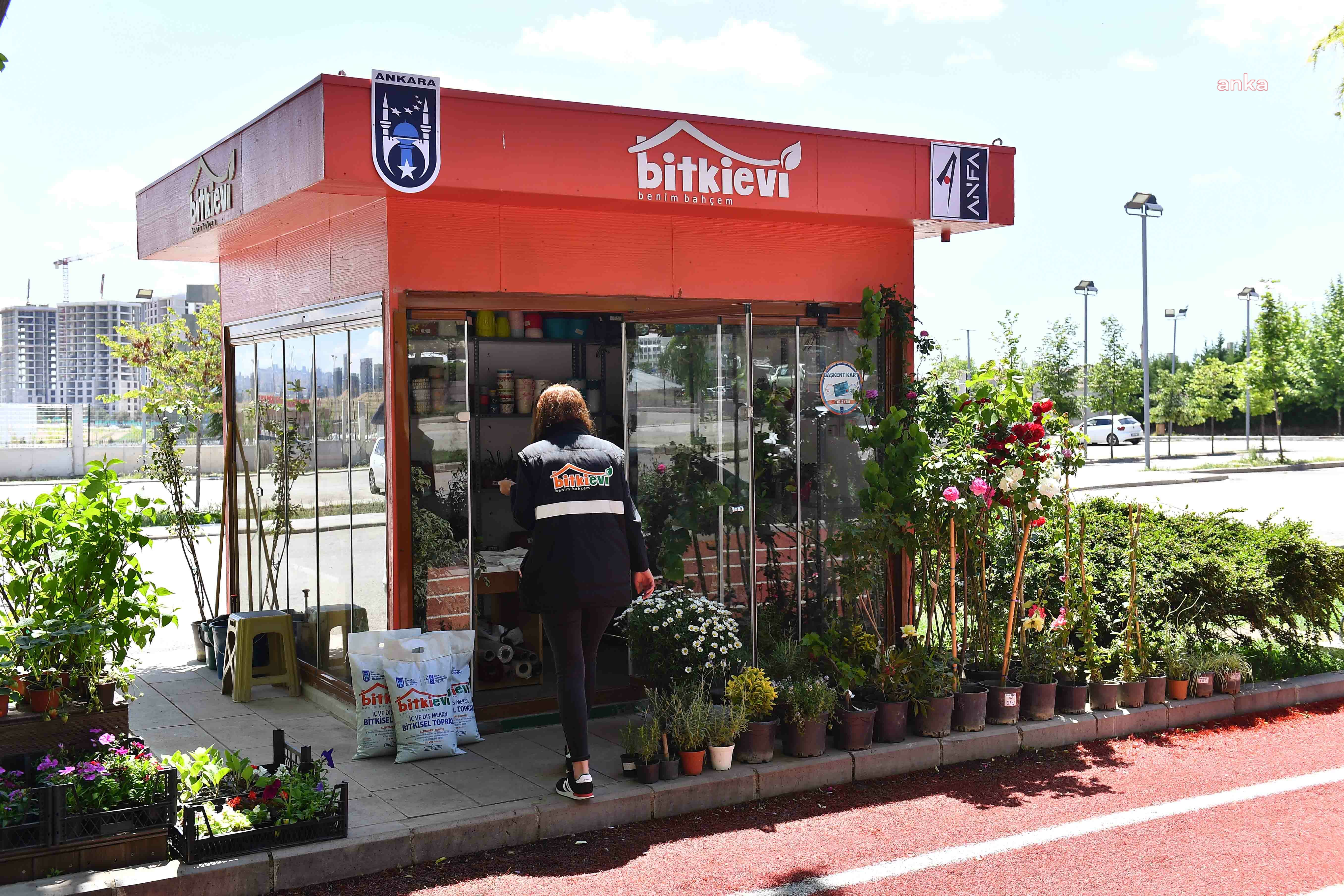 ANFA BİTKİ EVİ, BEŞİNCİ ŞUBESİNİ BATIKENT’TE AÇTI