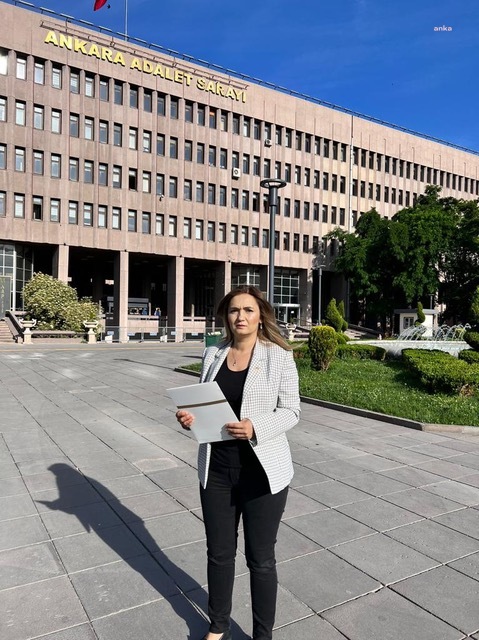GEZİ PARKI PROTESTOLARINA KATILANLARI "SÜRTÜK" DİYEREK HEDEF ALAN CUMHURBAŞKANI ERDOĞAN HAKKINDA SUÇ DUYURUSU