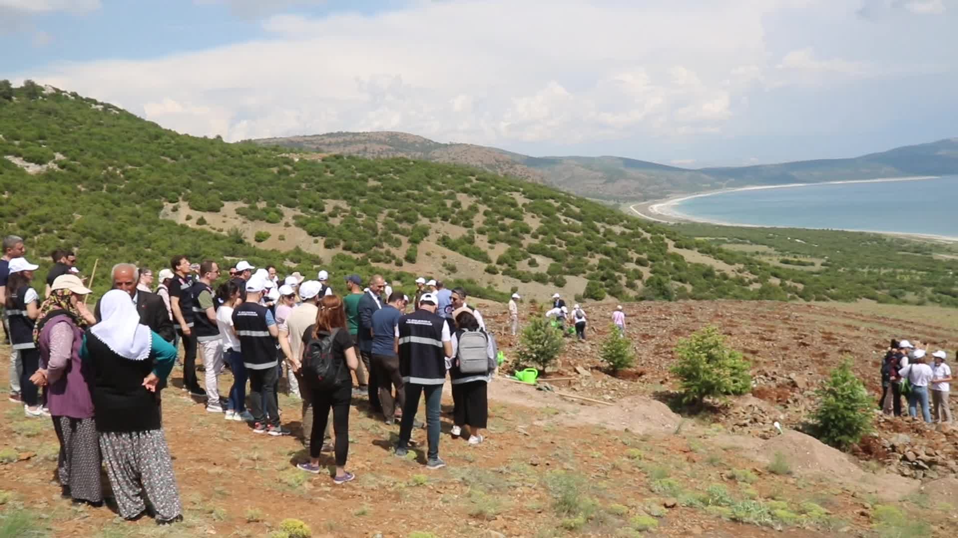 SALDA GÖLÜ ÜZERİNDEKİ ARAZİYE 300 ADET KÖKNAR VE ARDIÇ FİDANI DİKİLDİ