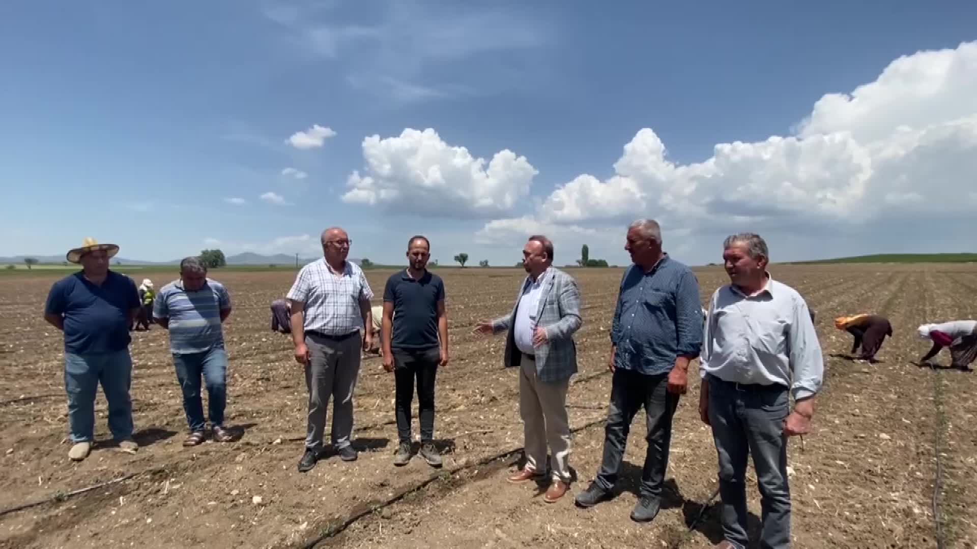 UŞAKLI TARIM İŞÇİSİ ÇELENK: “DİZİMDEN BELİMDEN RAHATSIZIM. TÖVBELER OLSUN MECBURUMDAN GELİYORUM. BEŞ SENEDİR DOKTORA ÇIKAMIYORUM”
