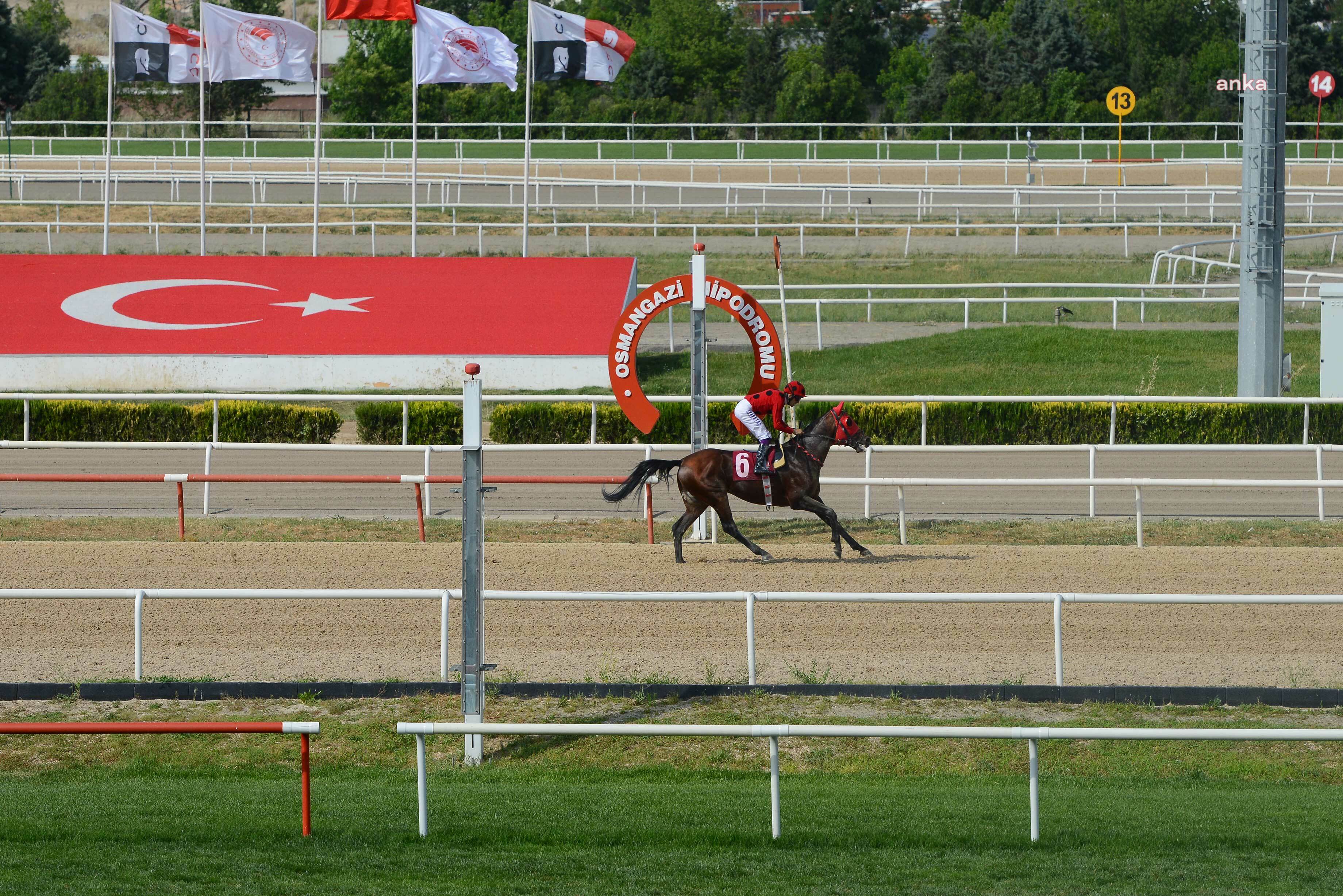 NİLÜFER BELEDİYE BAŞKANLIĞI KOŞUSU’NUN GALİBİ BESTEKAR OLDU