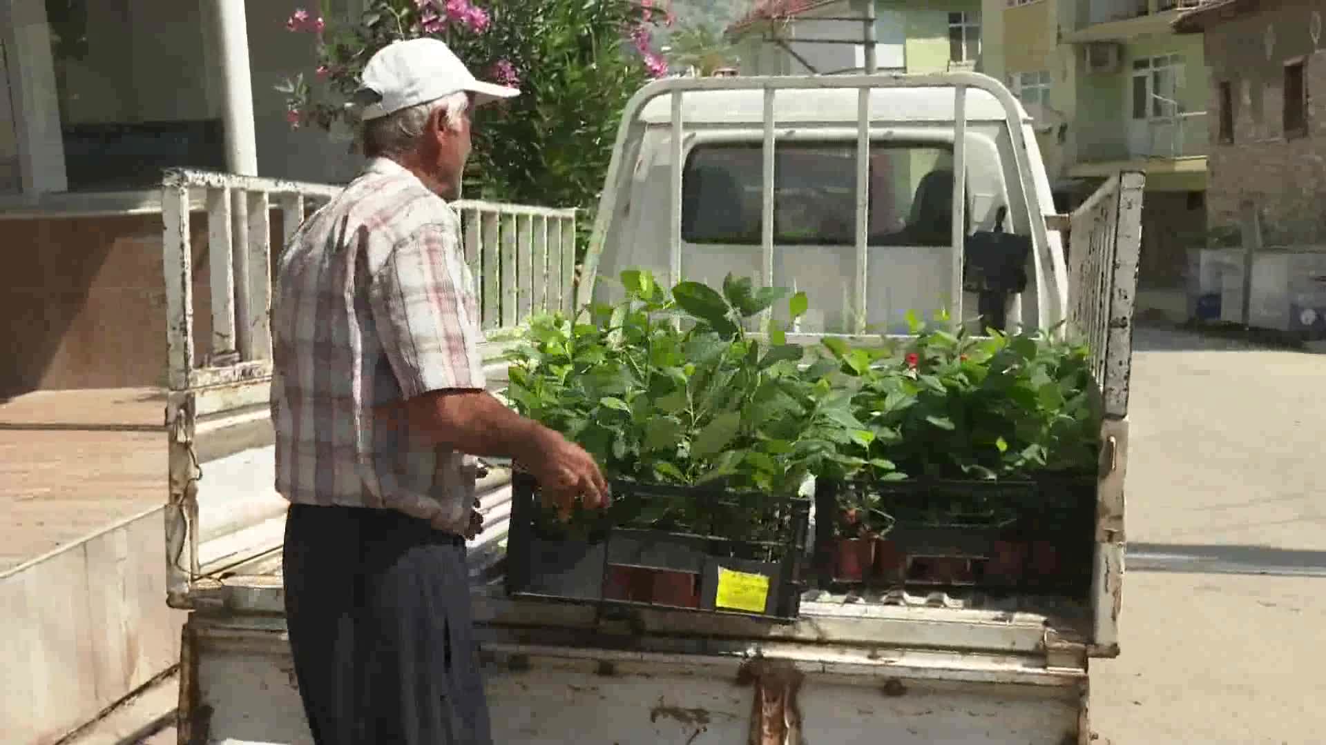 ANTALYA BÜYÜKŞEHİR’DEN ÇİFÇİYE “SÜPER MEYVE” DESTEĞİ