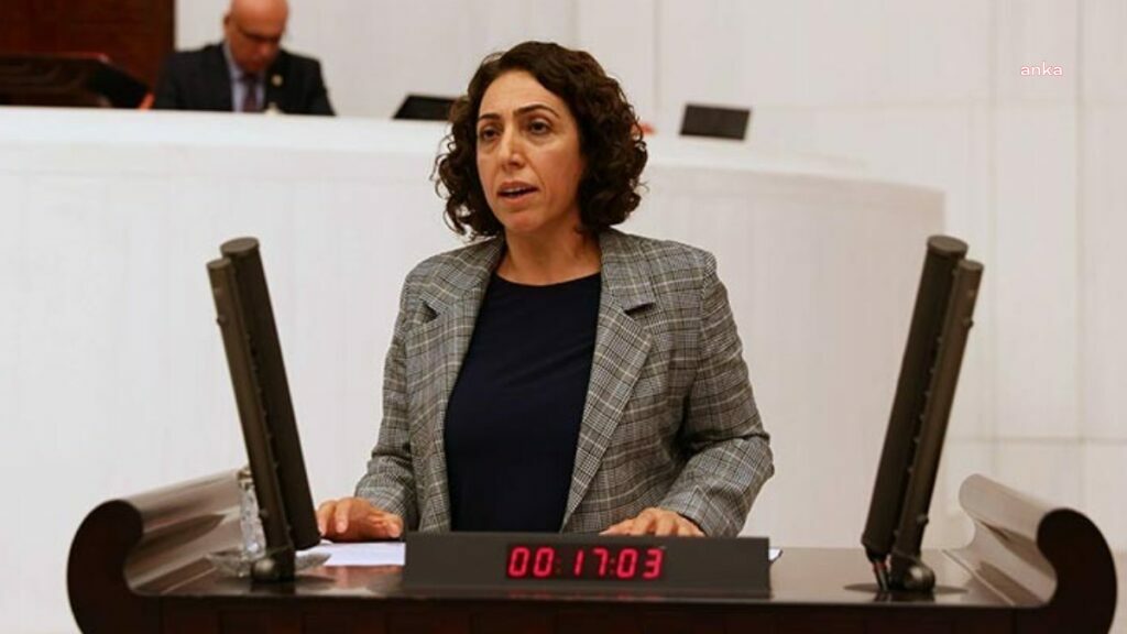 DBP'Lİ SALİHE AYDENİZ'İN FEZLEKESİ TBMM'DE