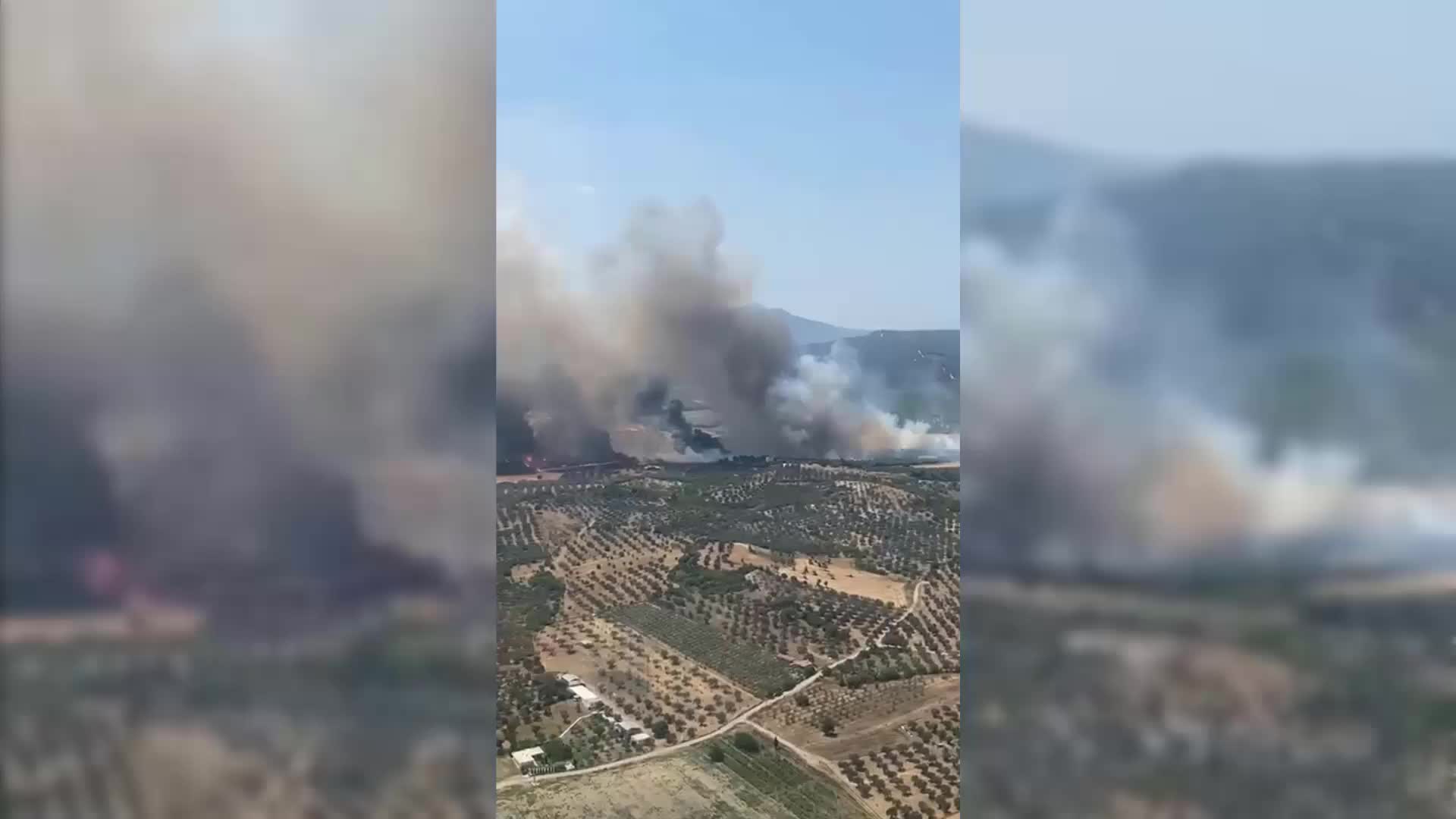 FOÇA'DA AT ÇİFTLİĞİ YAKININDAKİ TARIM ARAZİSİ YANDI