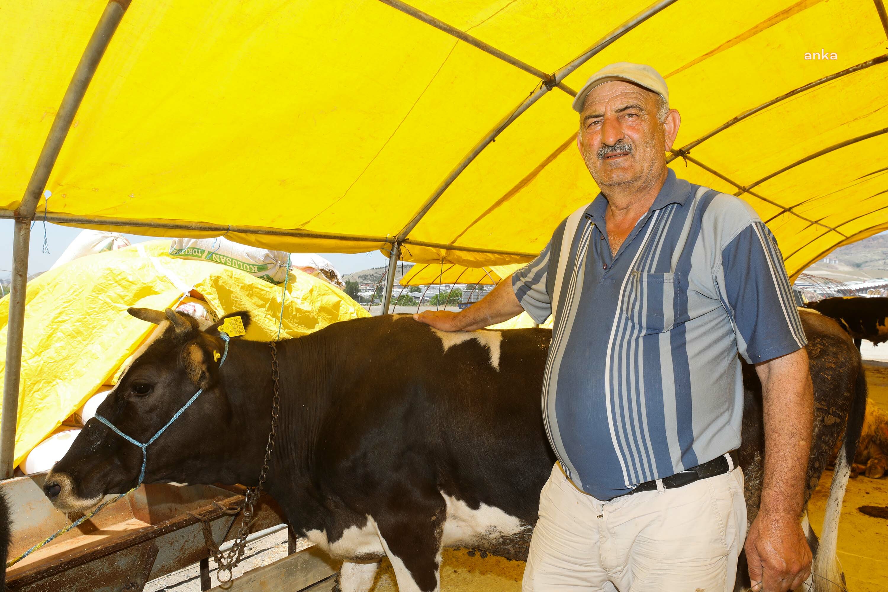 YENİMAHALLE BELEDİYESİ, YAKACIK KURBAN SATIŞ VE KESİM ALANI’NI KURBAN BAYRAMI’NA HAZIRLADI