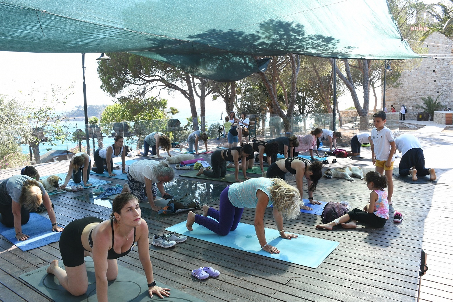 KUŞADASI BELEDİYESİ'NDEN DÜNYA YOGA GÜNÜ ETKİNLİĞİ