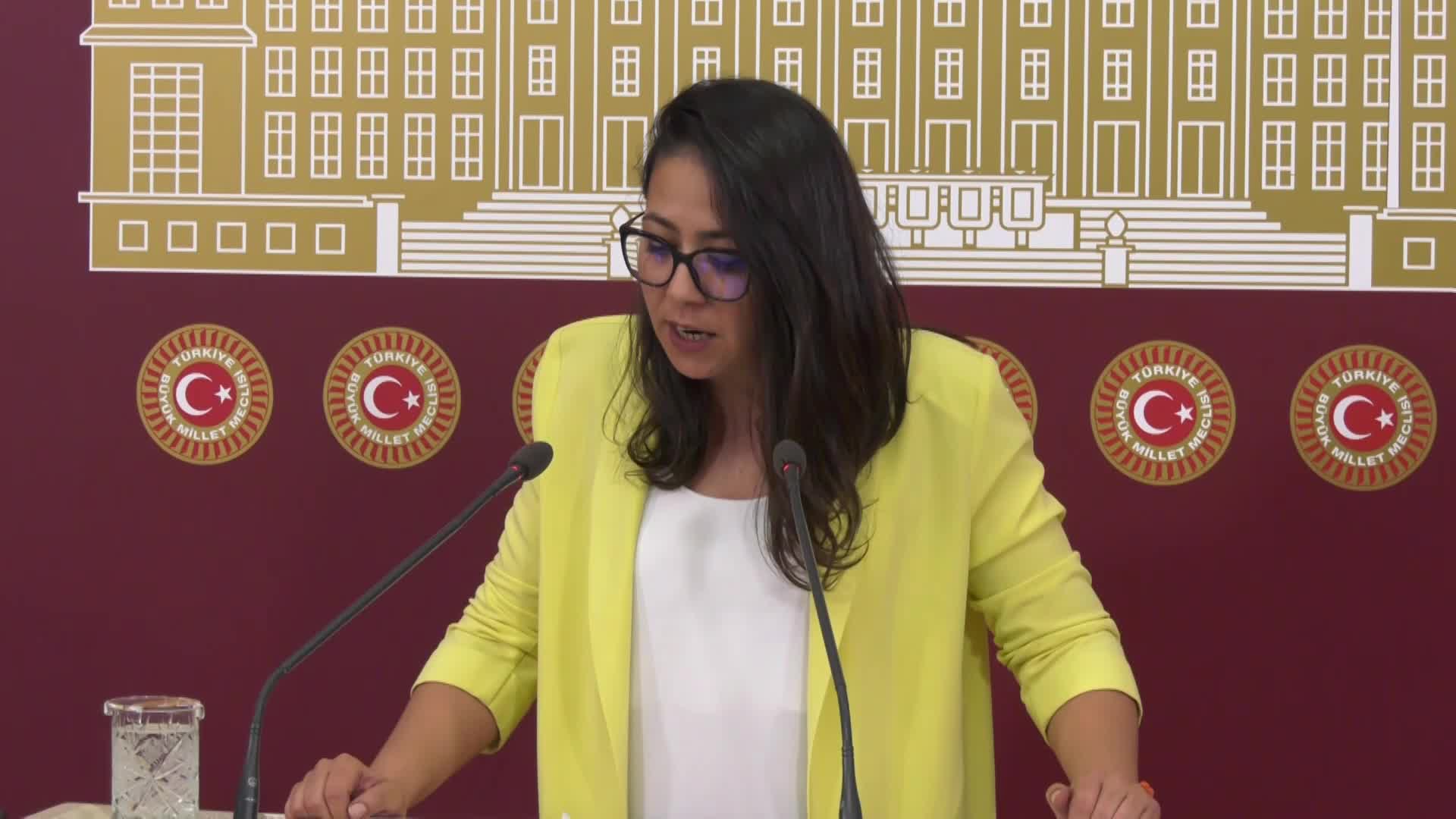 SERA KADIGİL: RECEP TAYYİP ERDOĞAN VE ŞÜREKASININ ELİNDE KALAN SON DÜŞMAN KADROSU LGBTİ ARTILAR OLDU
