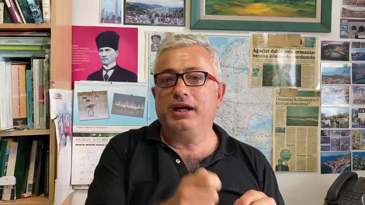 UZMANLAR MARMARİS'TEKİ ORMAN YANGININI DEĞERLENDİRDİ: "YANGINA BU YIL DA HAZIRLIKLI DEĞİLİZ"