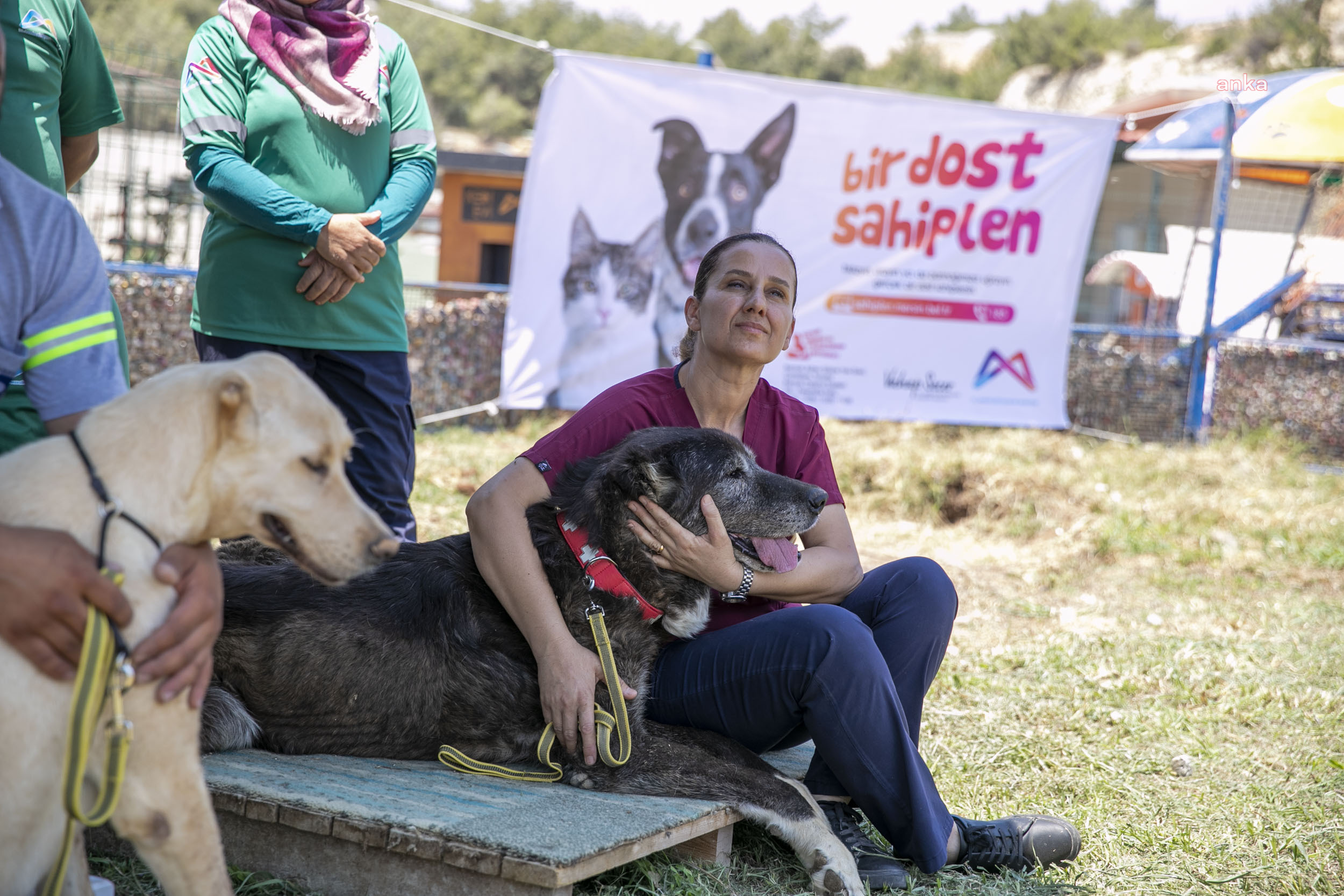 MERSİN BÜYÜKŞEHİR BÜNYESİNDE BİR İLK: ‘KÖPEK EĞİTİM ALANI’